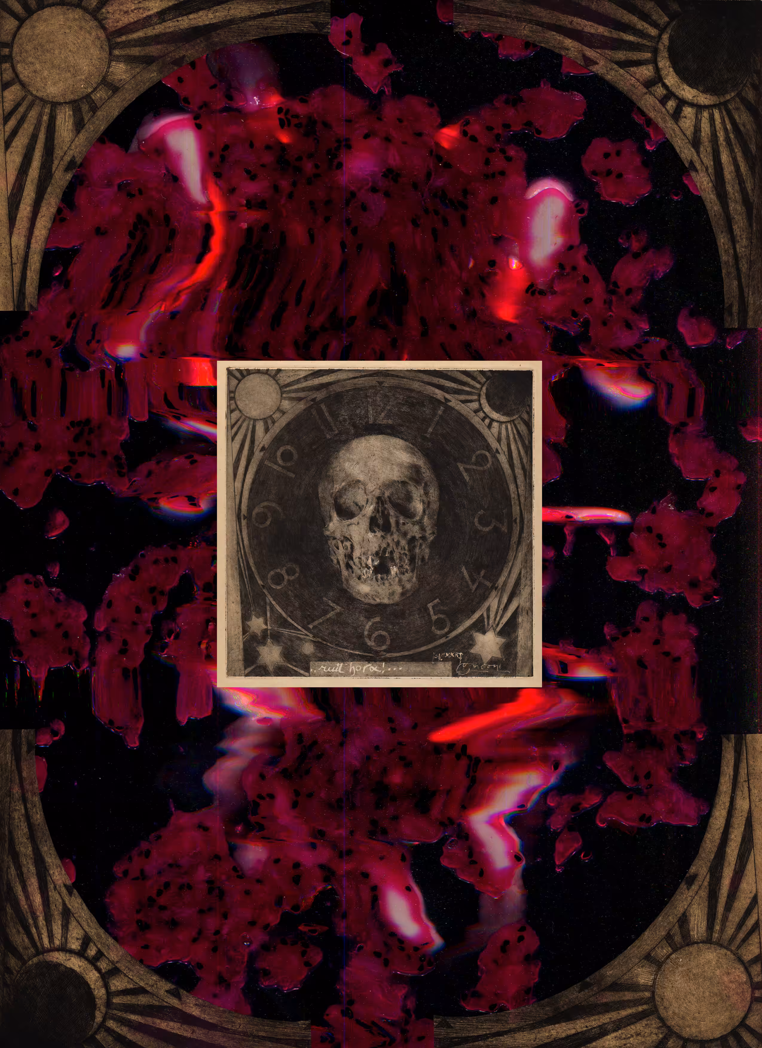 Plate 017 _ Skull