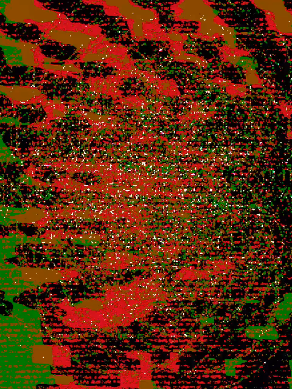 lost trails 