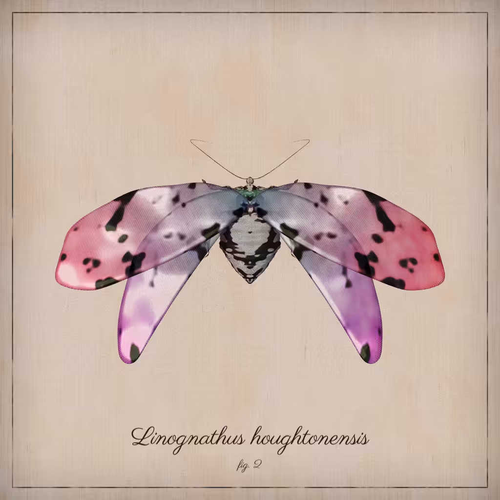 ProcGen Entomology #398