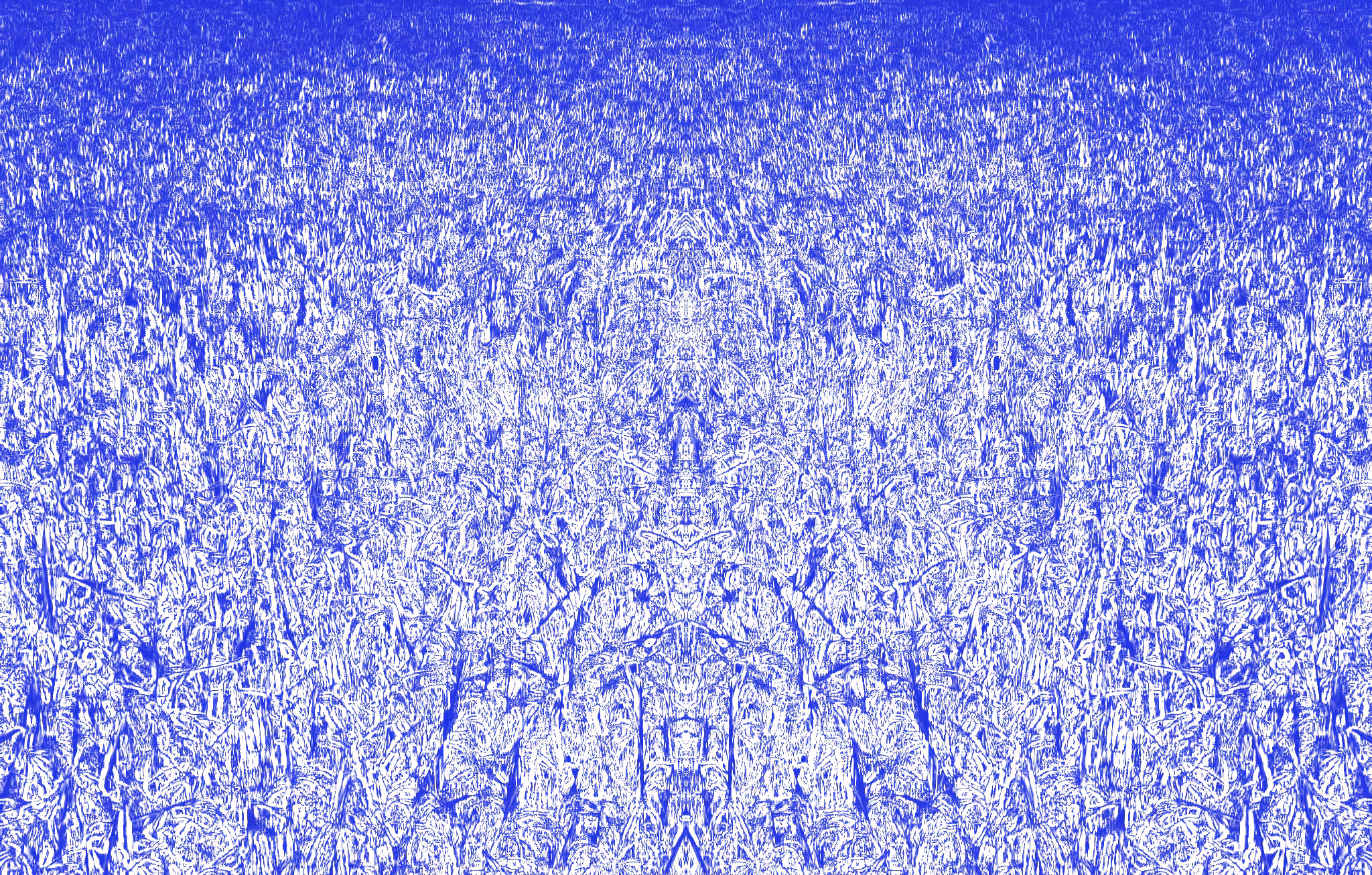 Papillons bleus