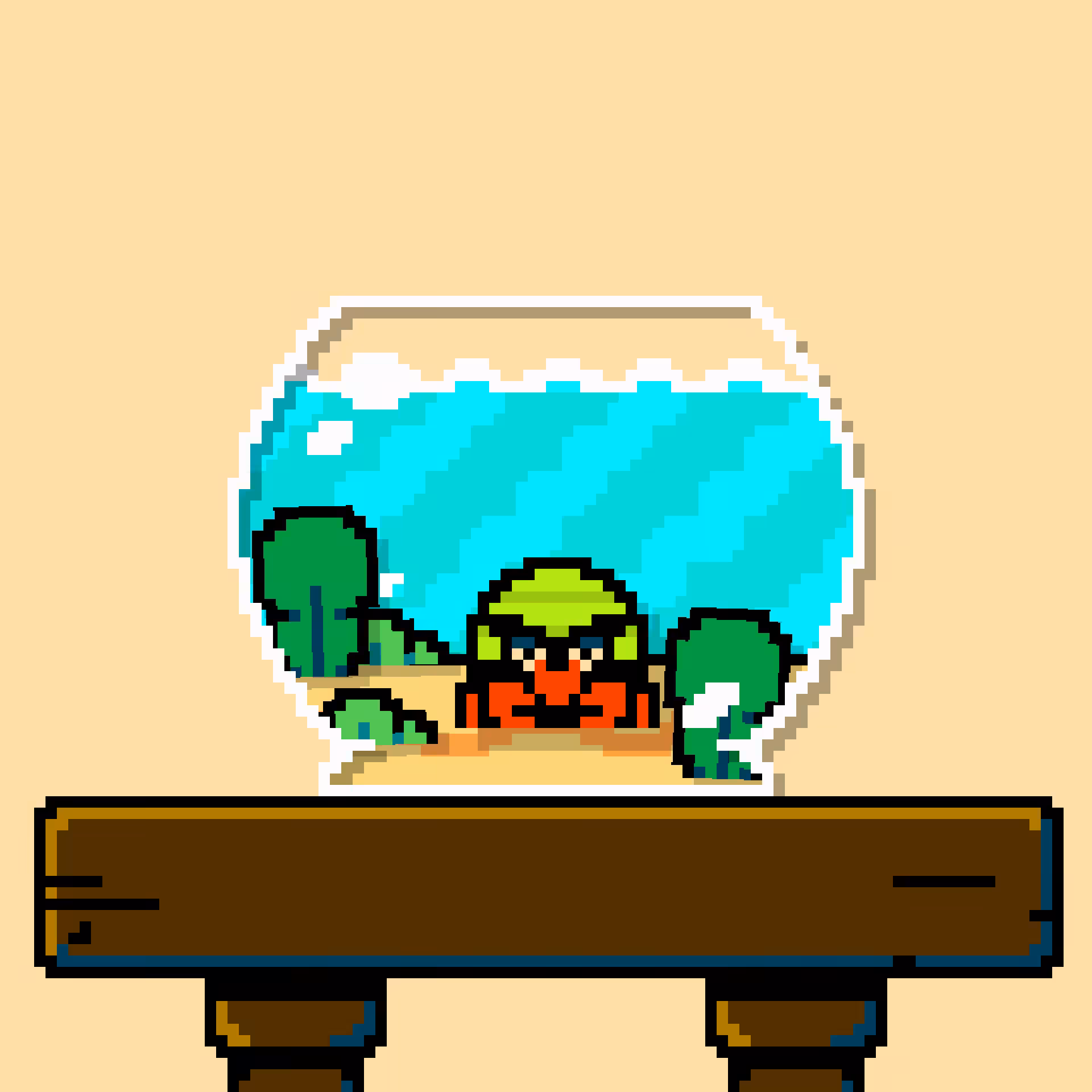hermit crab #17