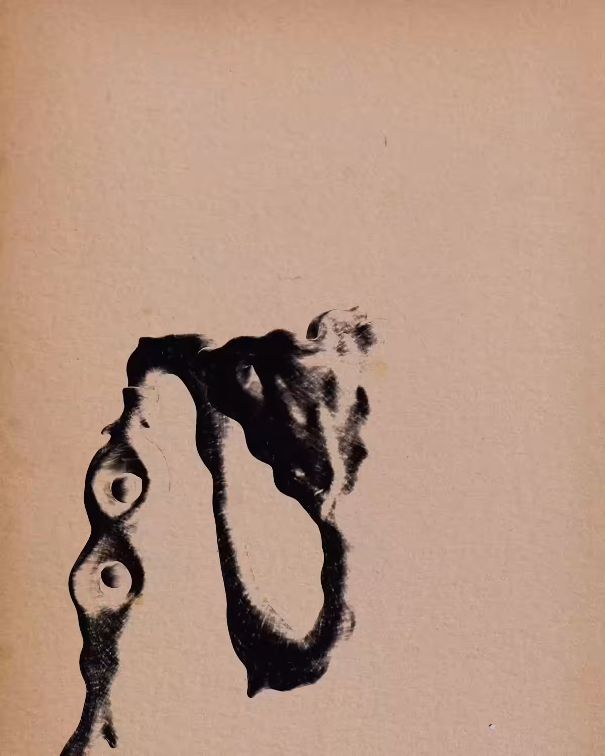 Fossilized Film Reel No. 3