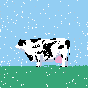 cow #197
