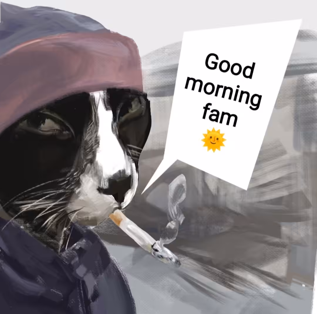 Meow gm