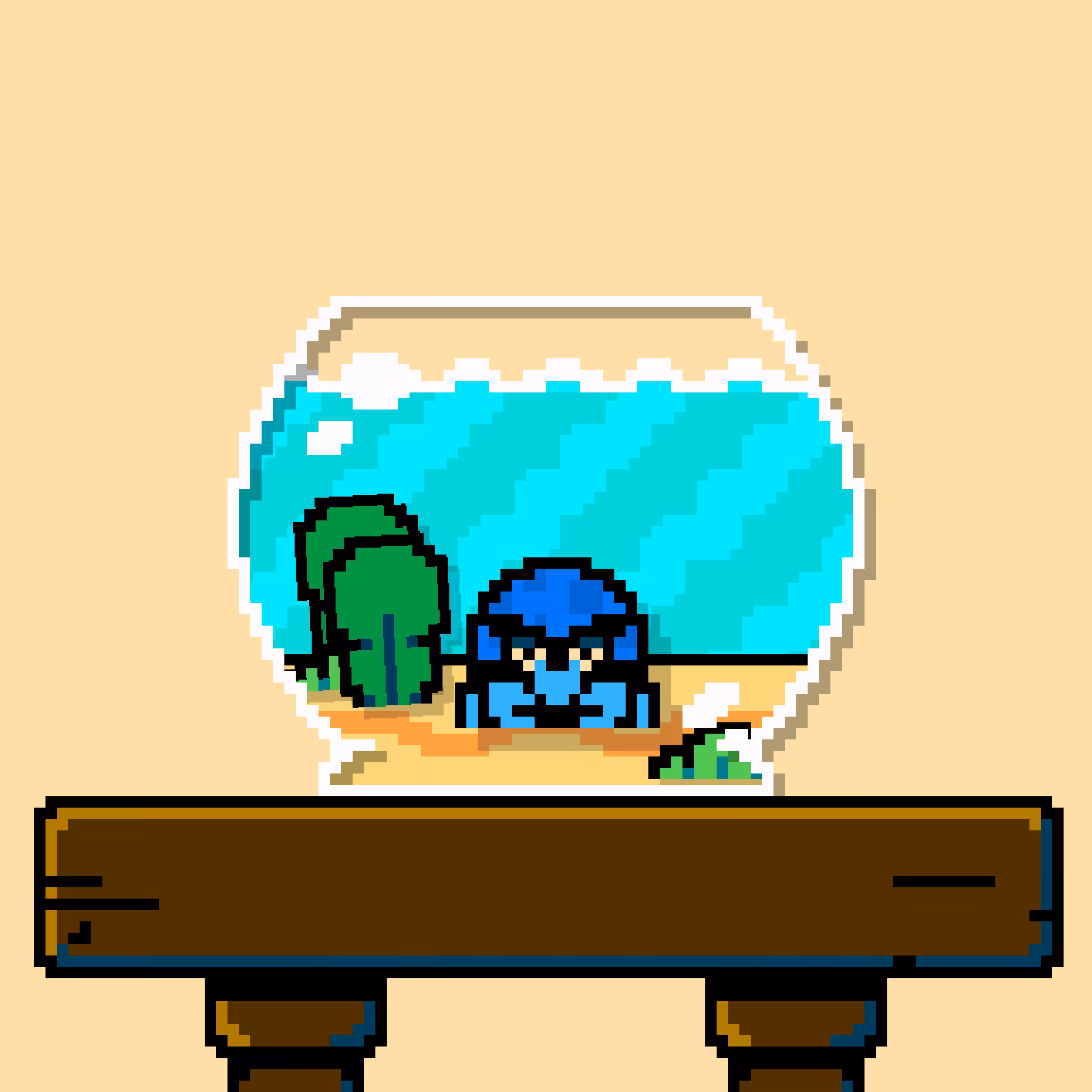 hermit crab #178