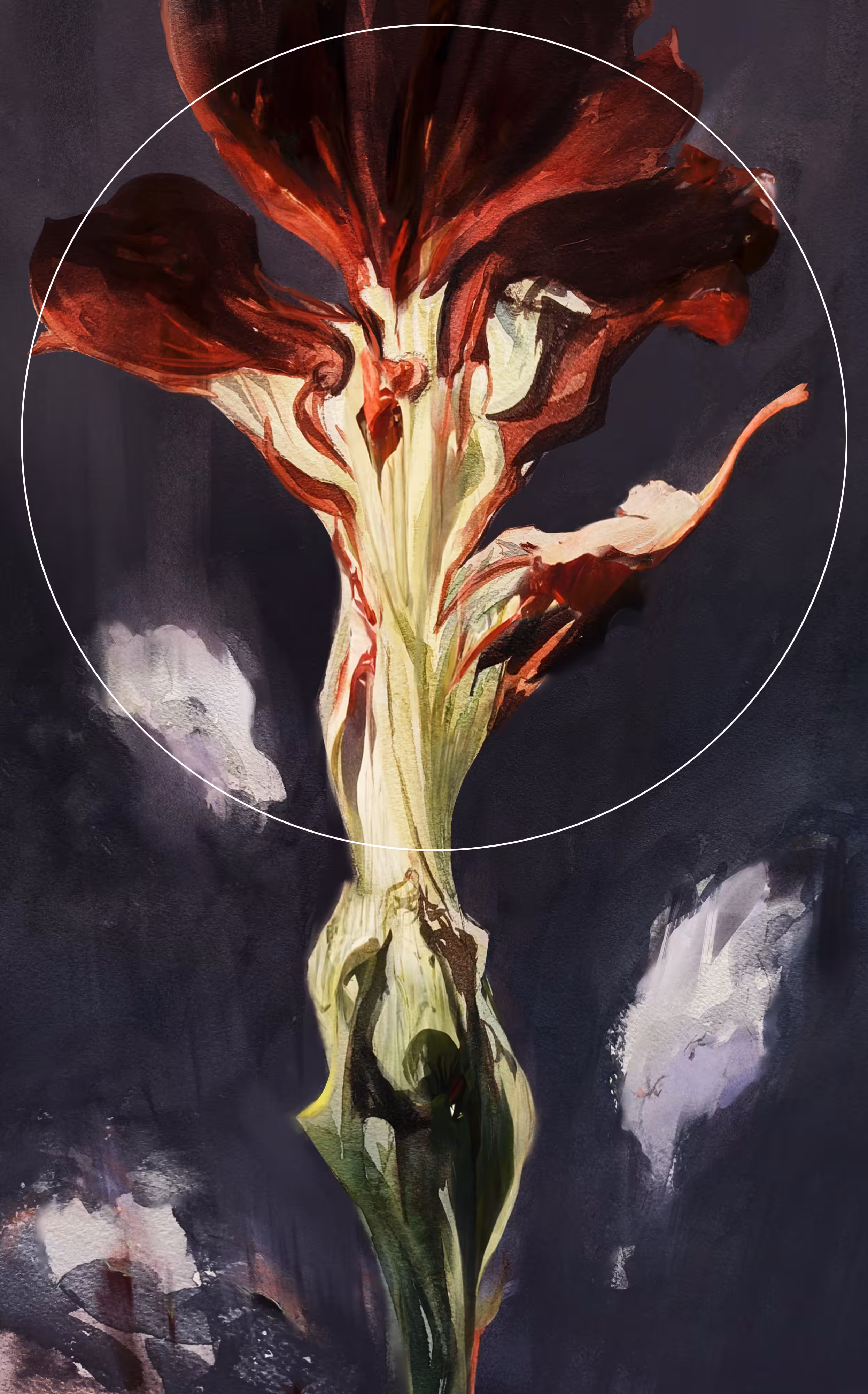 'The Last' II