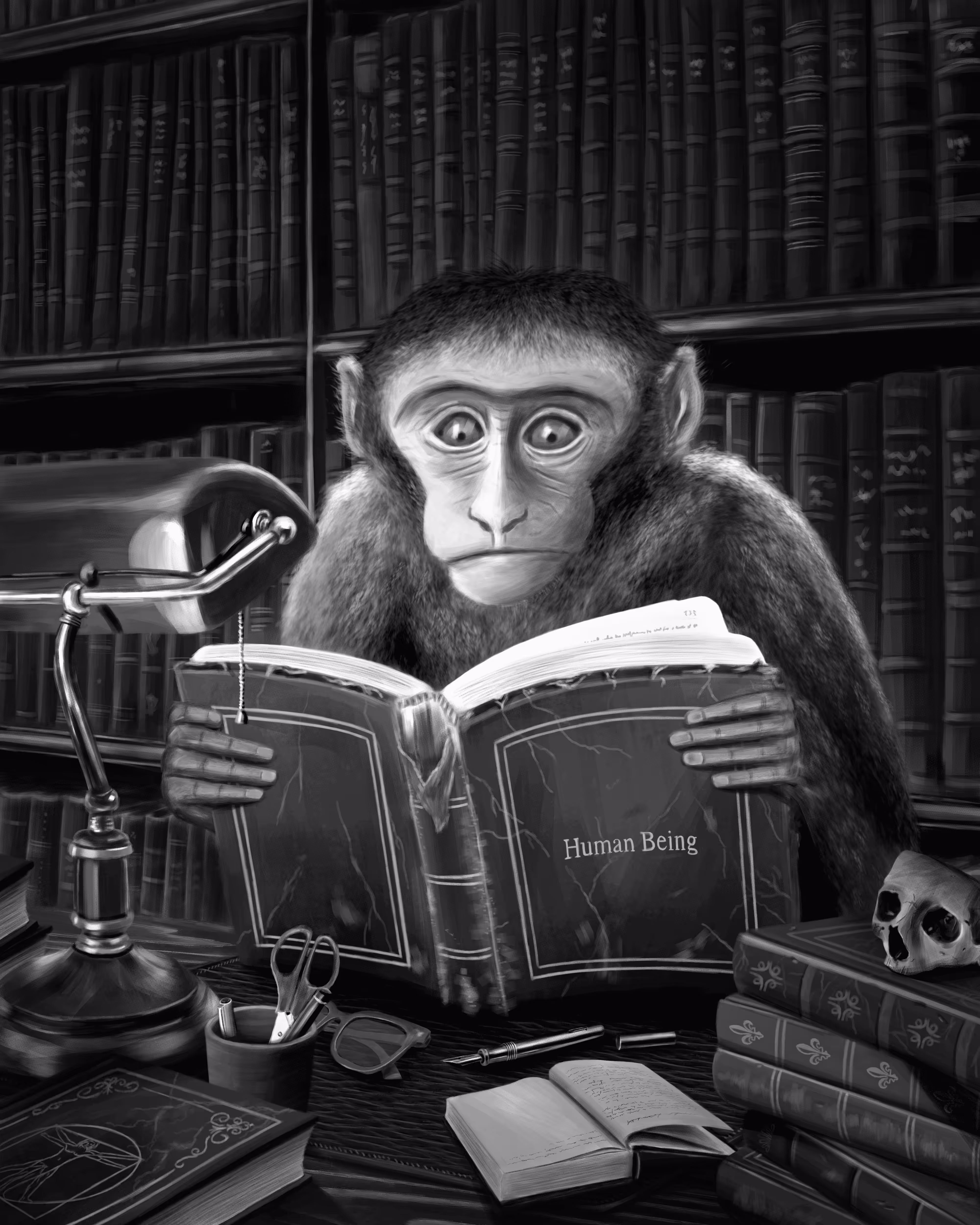 A Wise Monkey