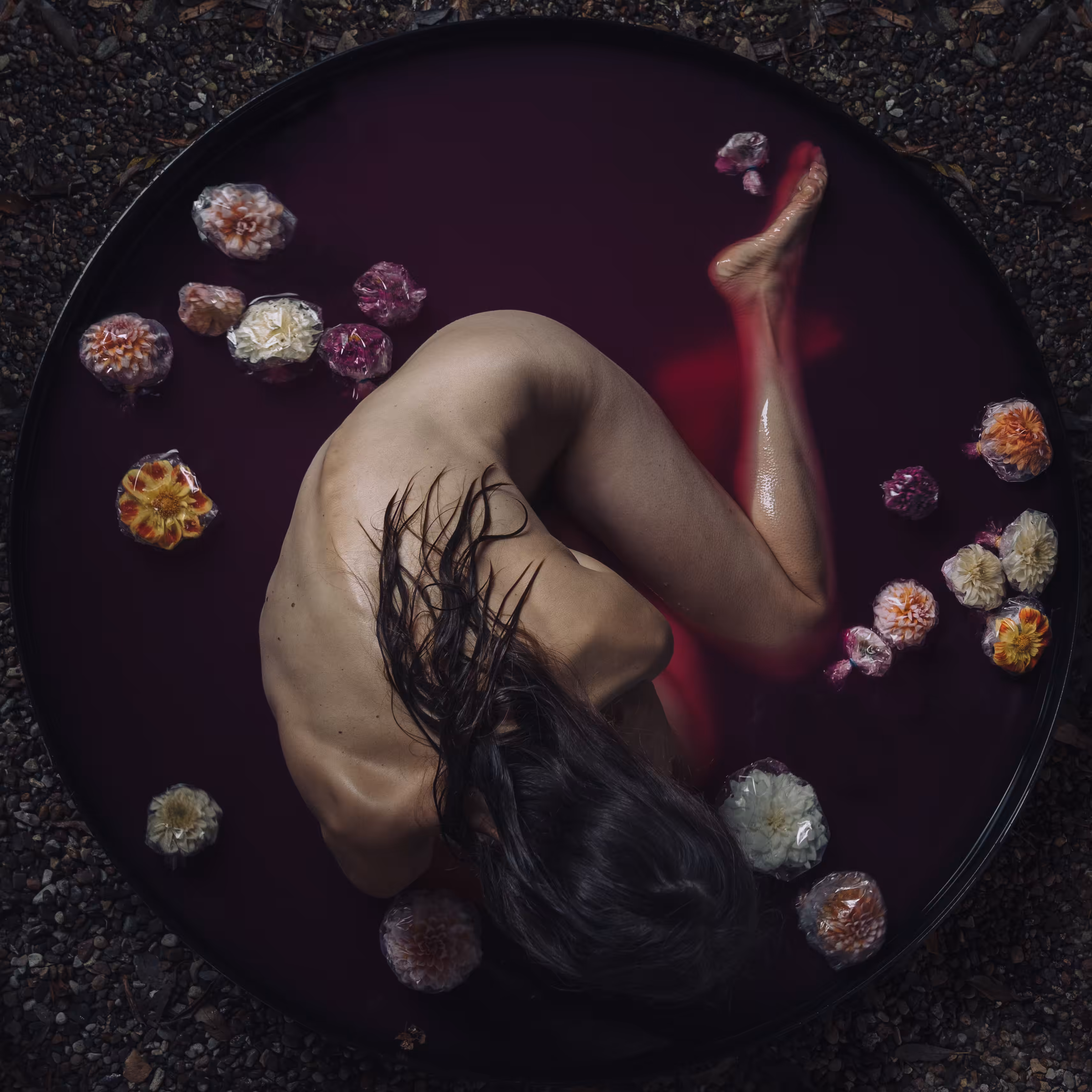 Preserved Beauty I