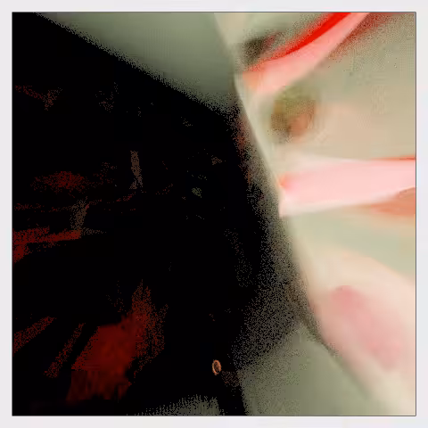 Light reverberations #119
