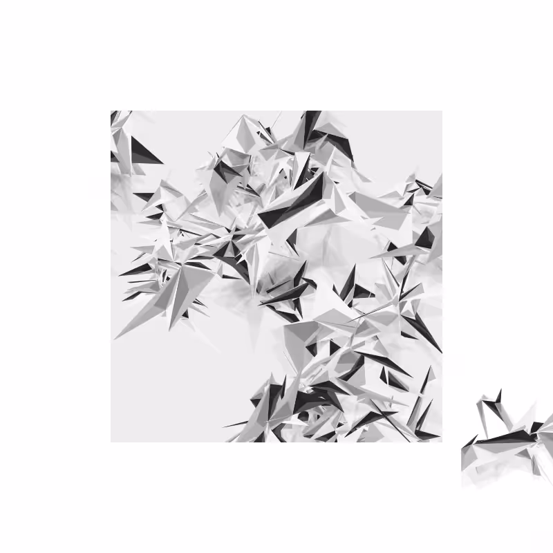 Paradise Birds Generative Series #248