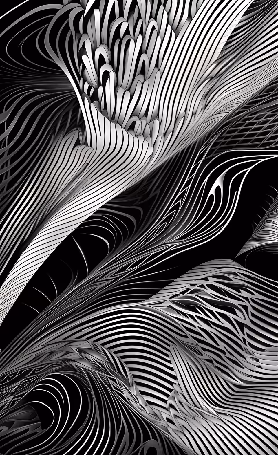 SHAPE----EDGE