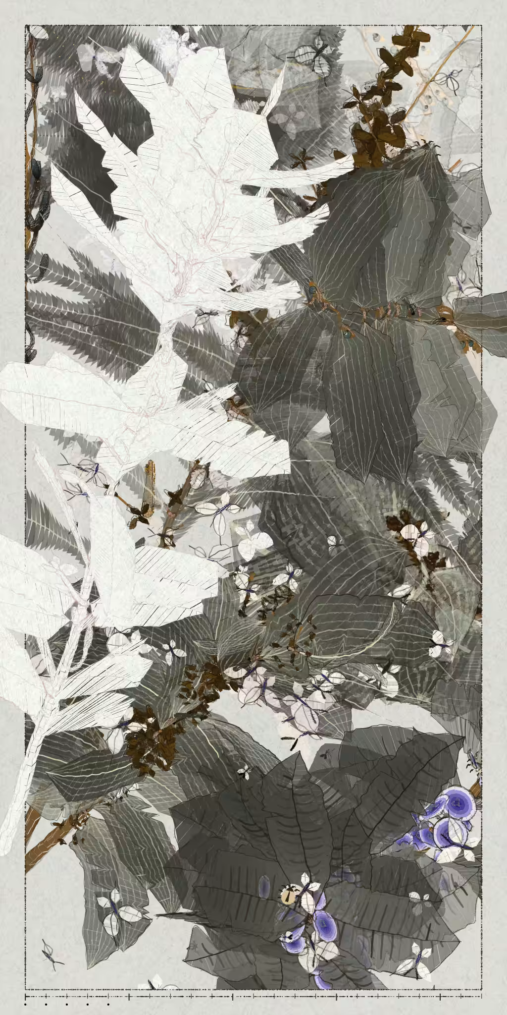 Polypaths | 植徑集 #567