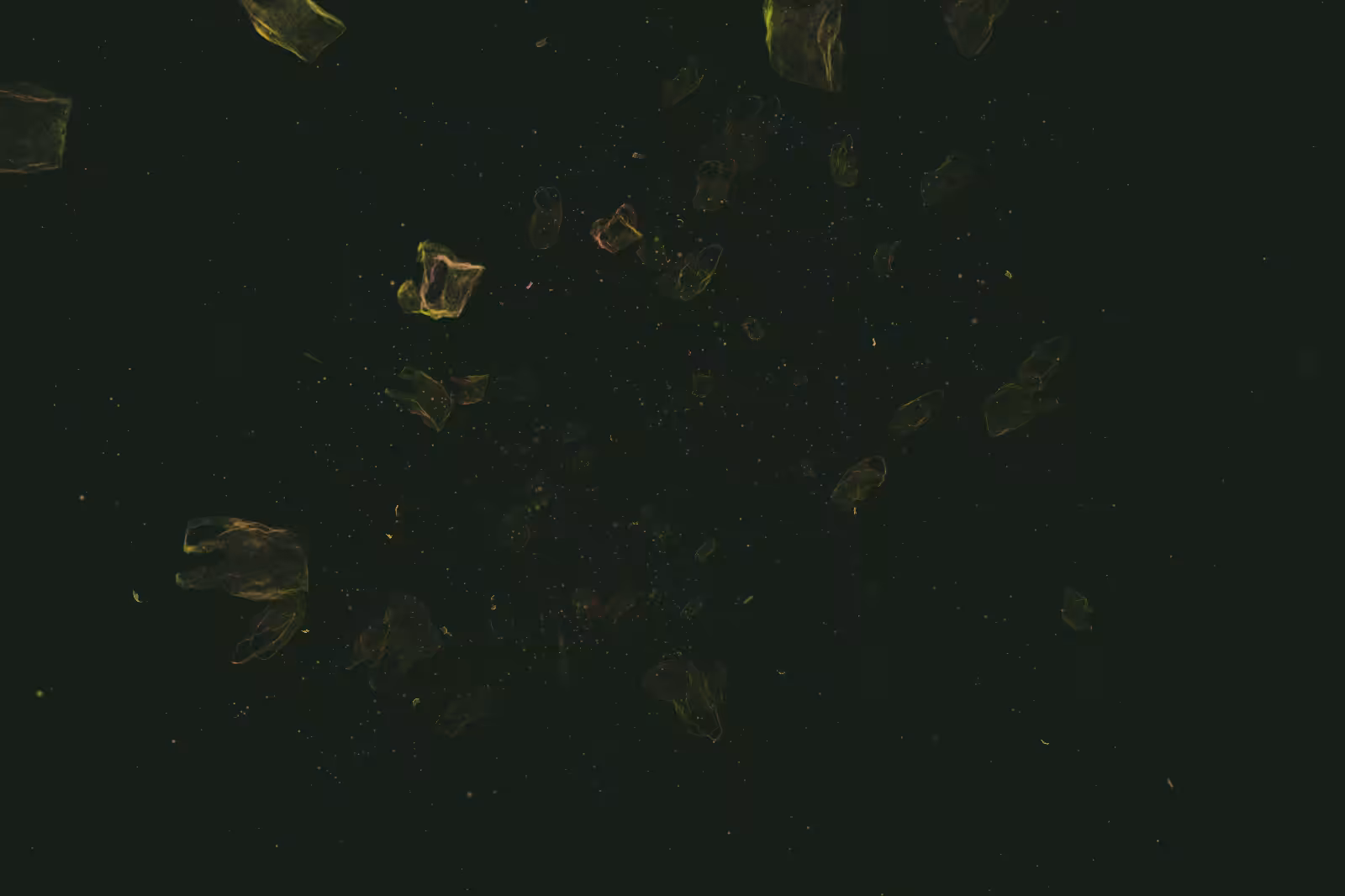 Turtle Vision #106