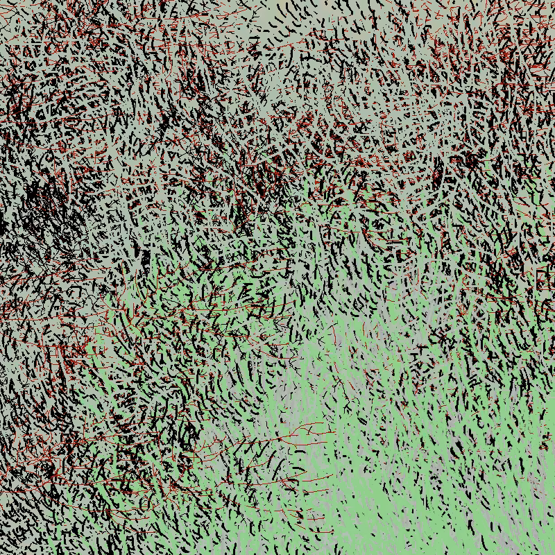 a bird worked on my painting #9