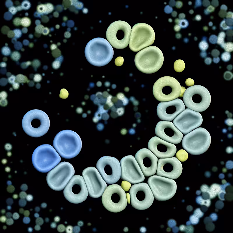 Haemo Globs #264