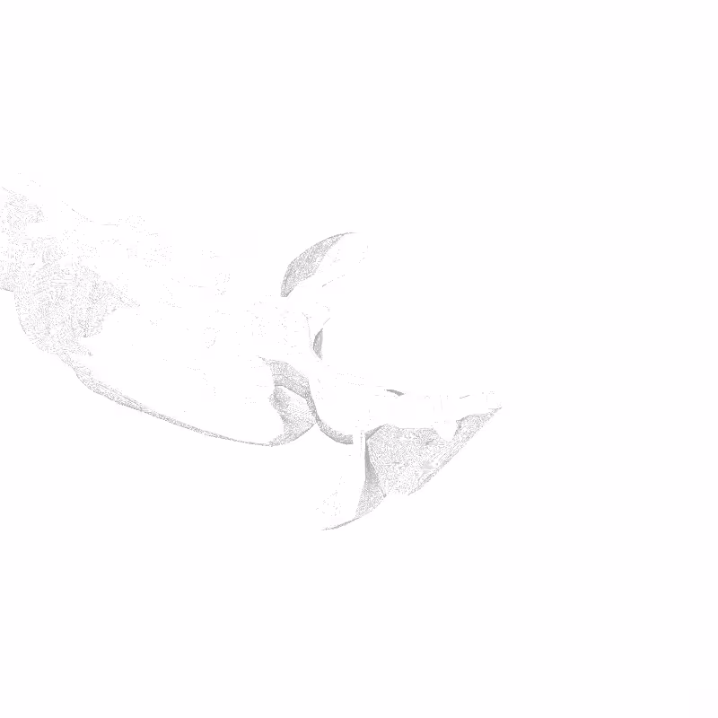 traces #39