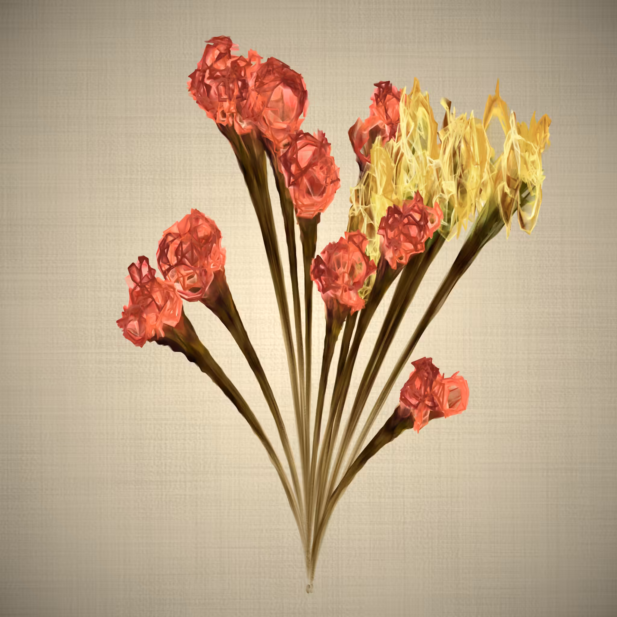 lilium #16