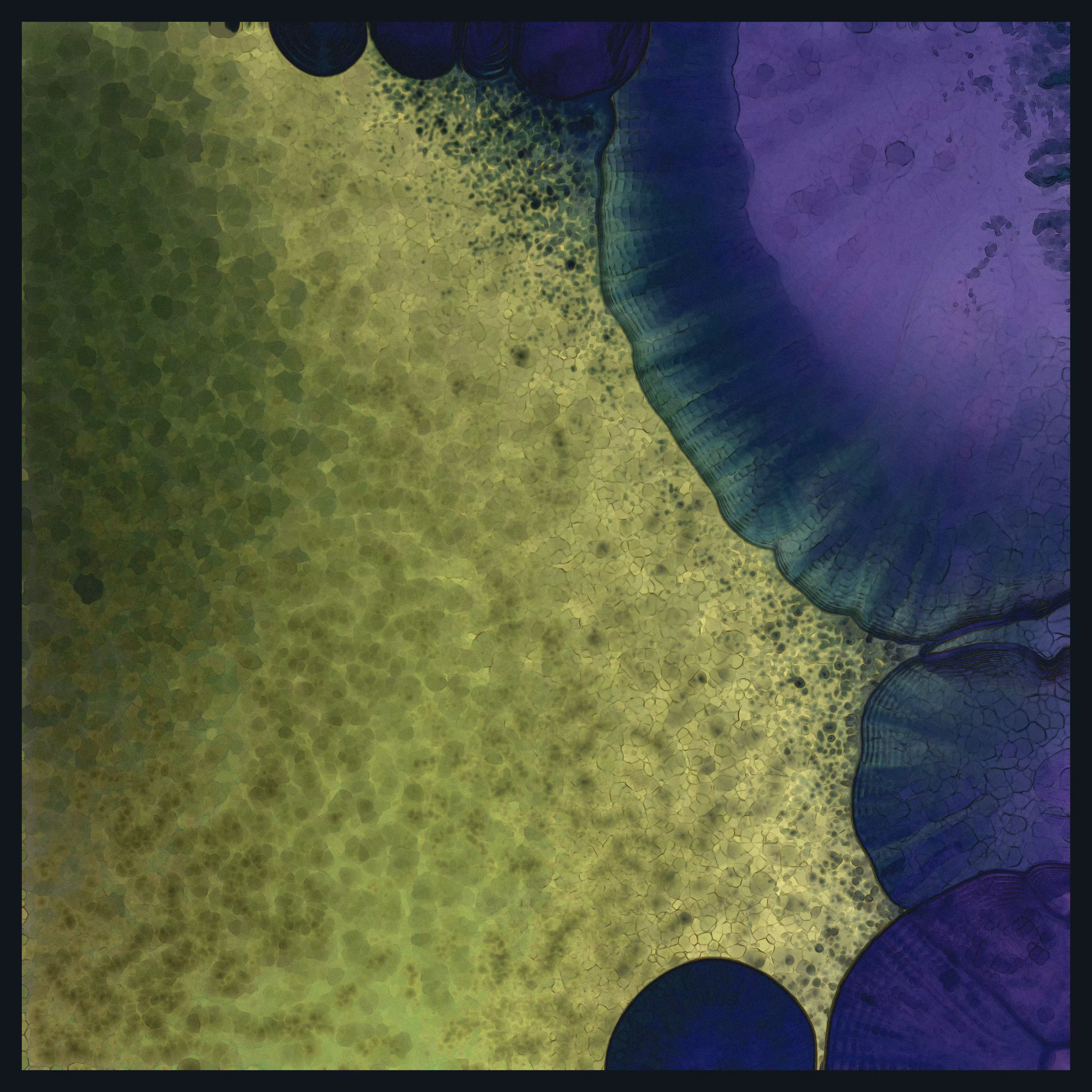 Bloom_06