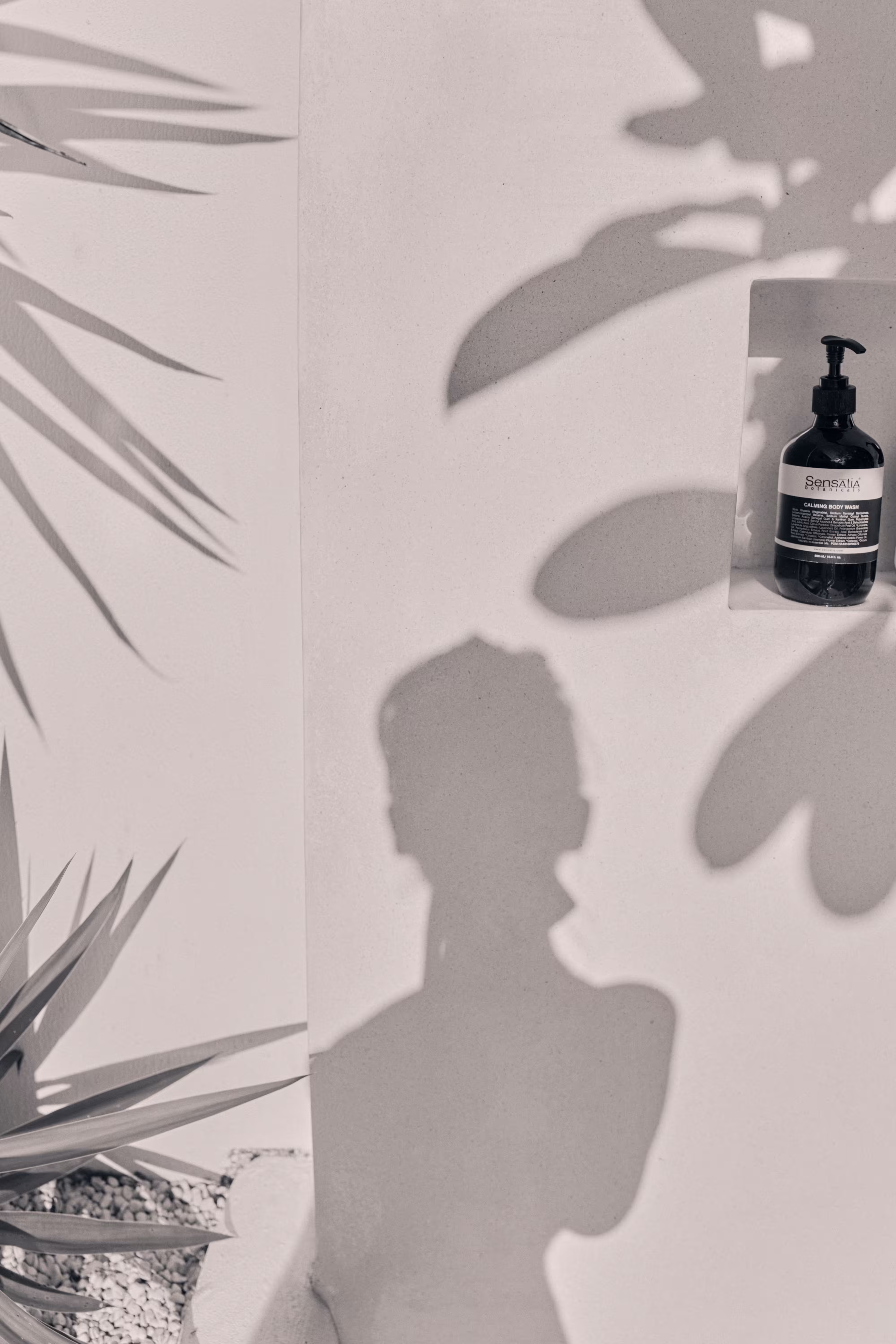 Shadow