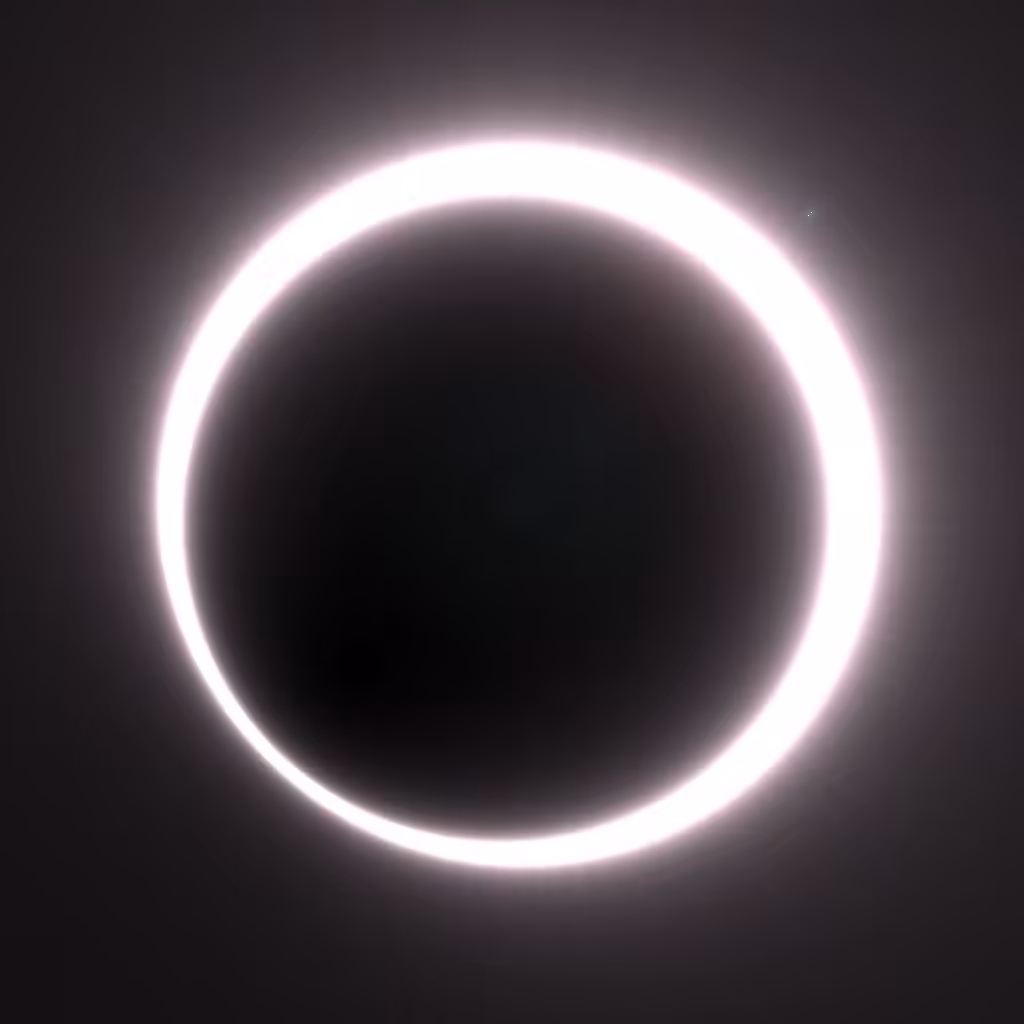 Totality #351