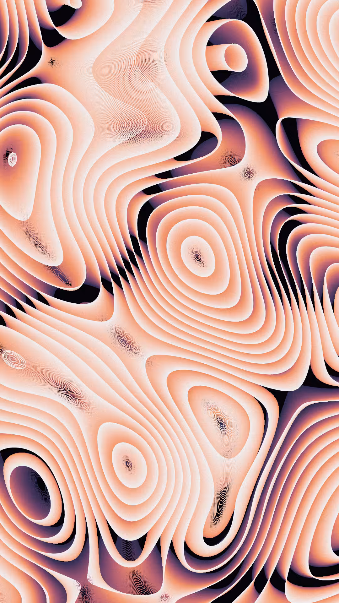 FLUID 2.0 #83