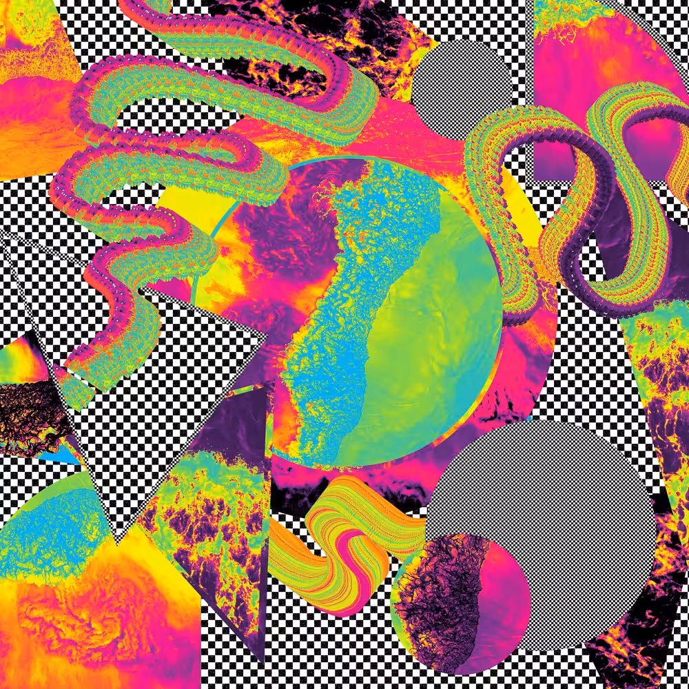 the_seventh_lesson_lisa_frank_prime_taught_me