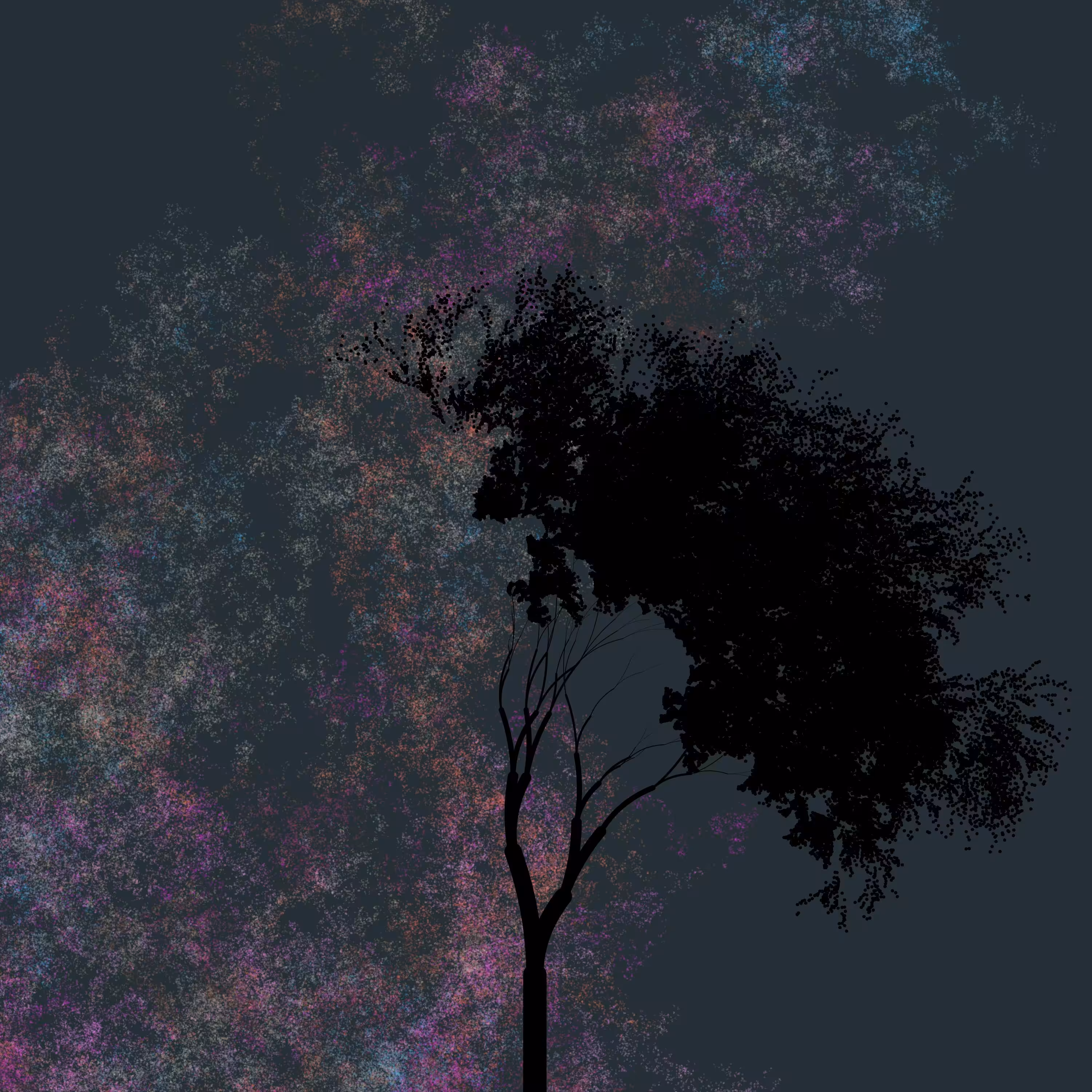 Night Tree 224