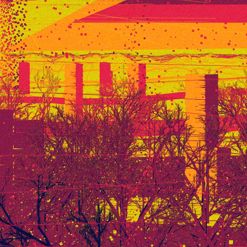 The Wintertime #75