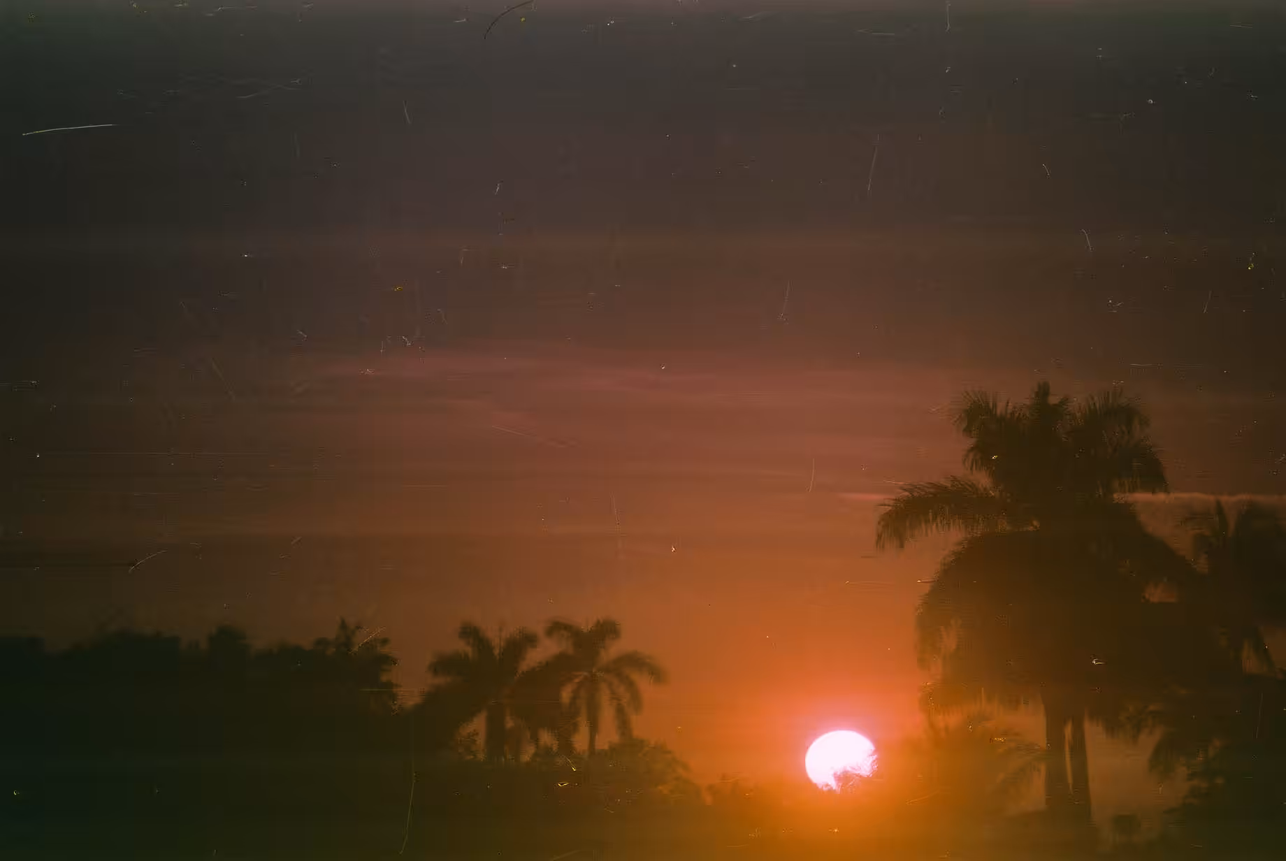 Vice City