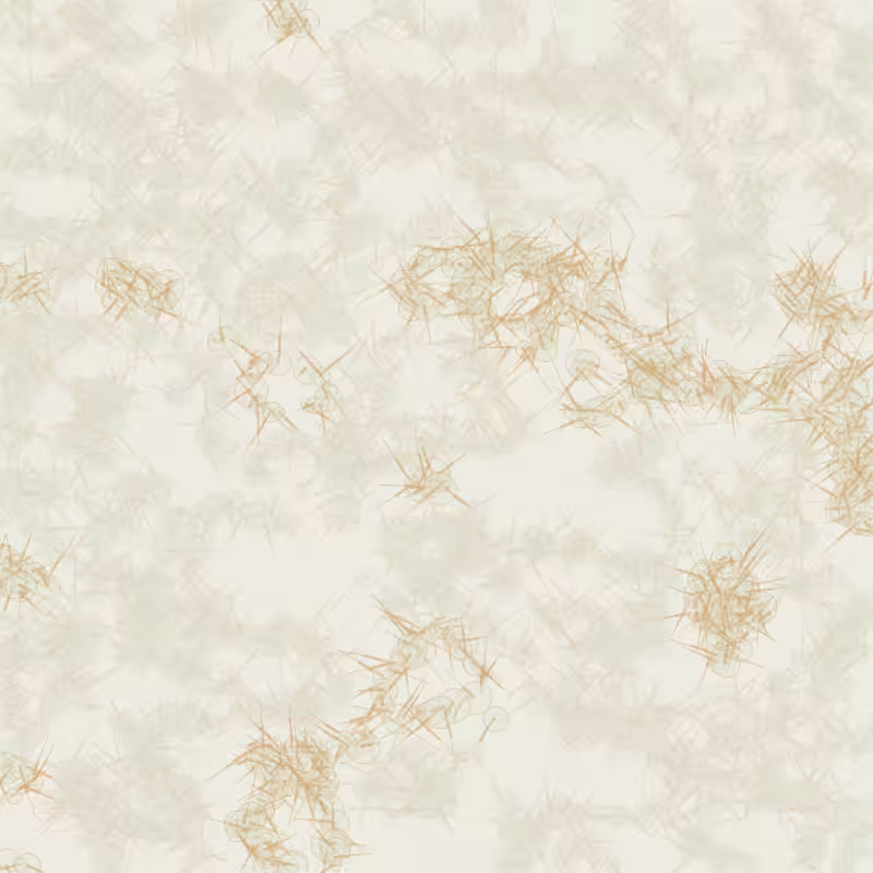 Petri 1500 v2 QHD  #1351