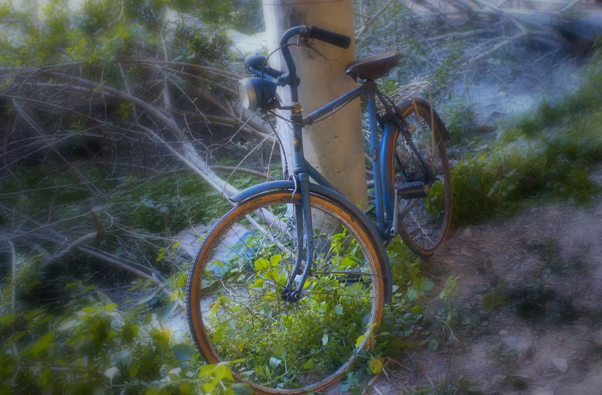 la bicicleta