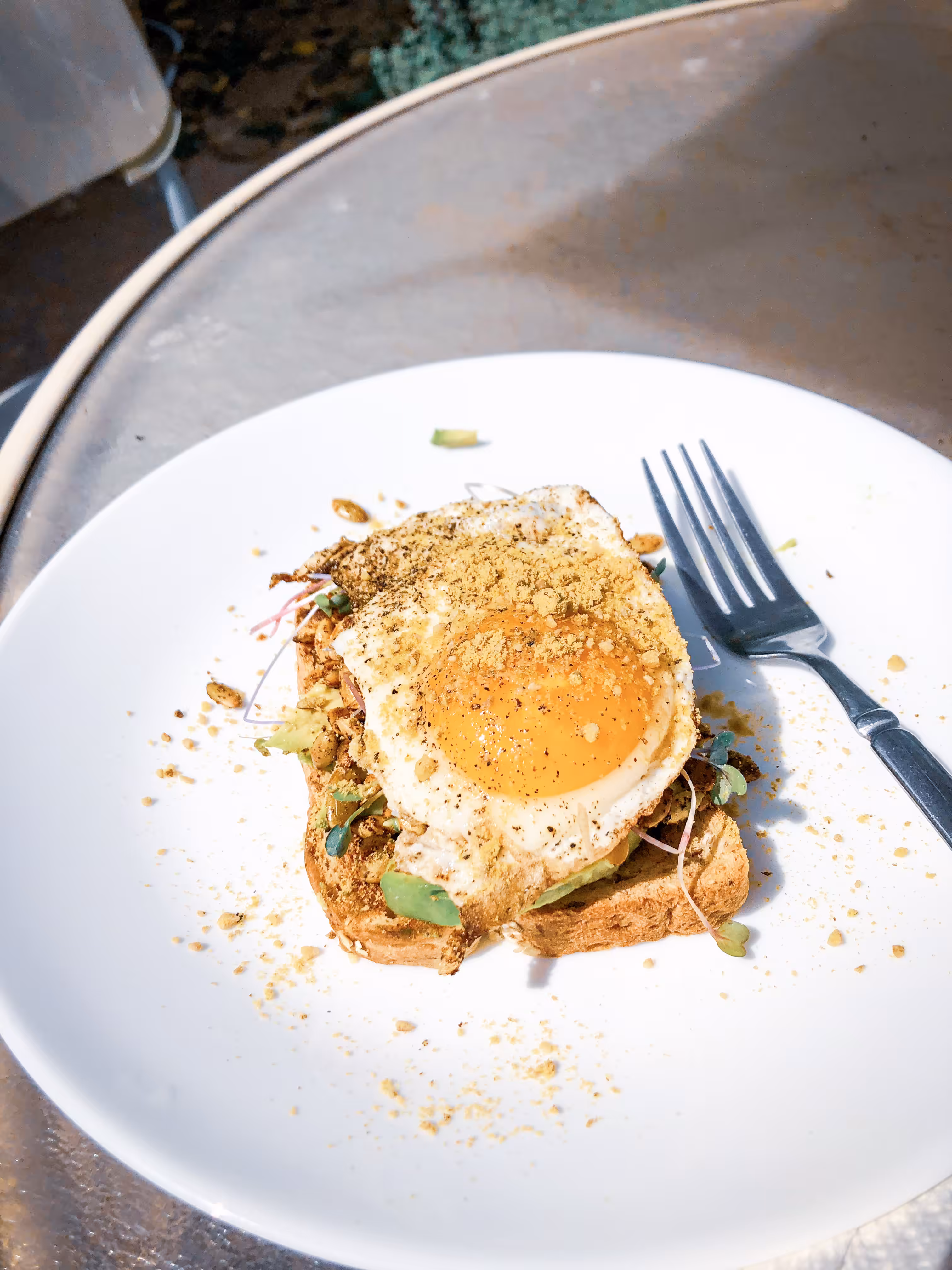 avacado egg
