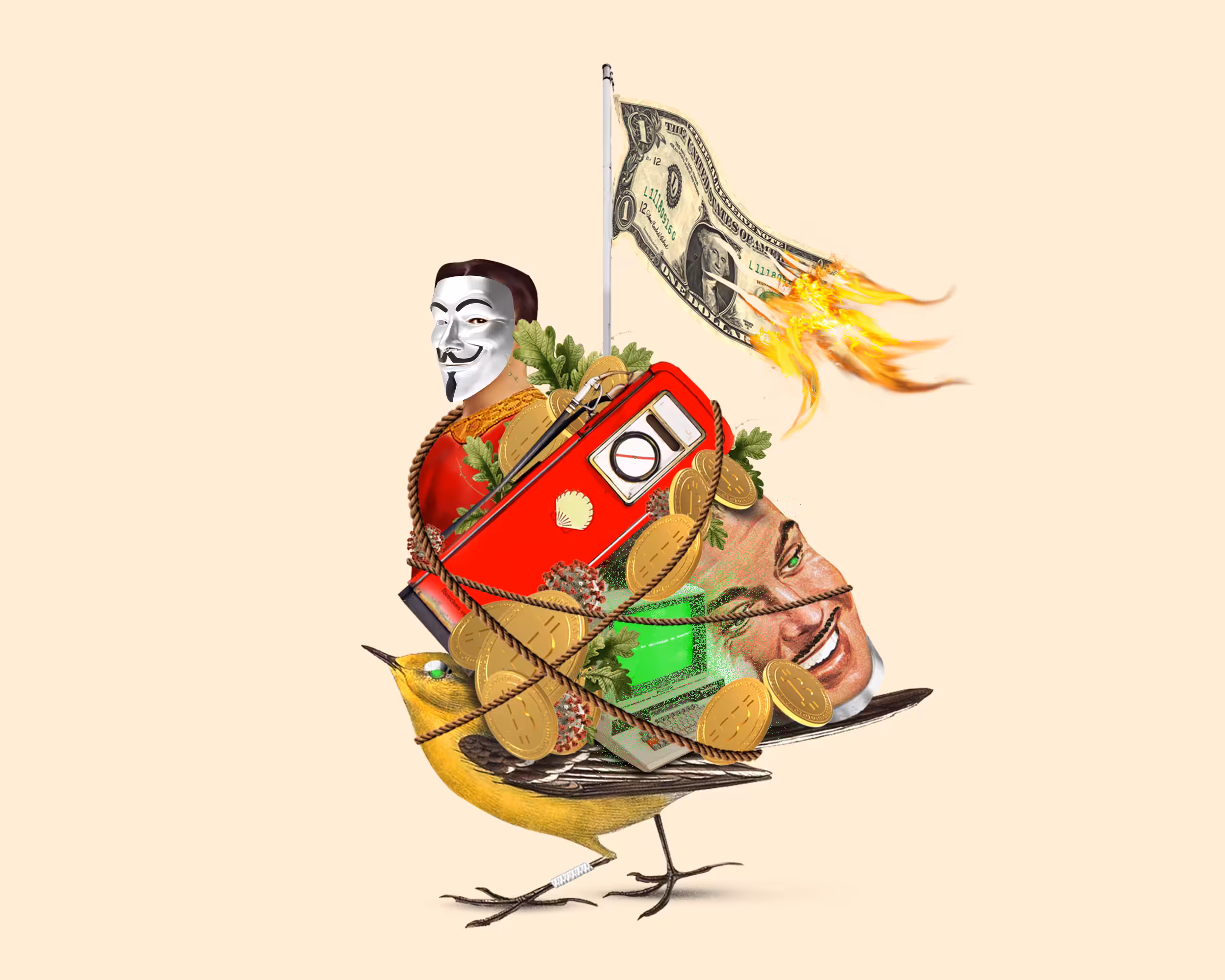 Crypto Bird