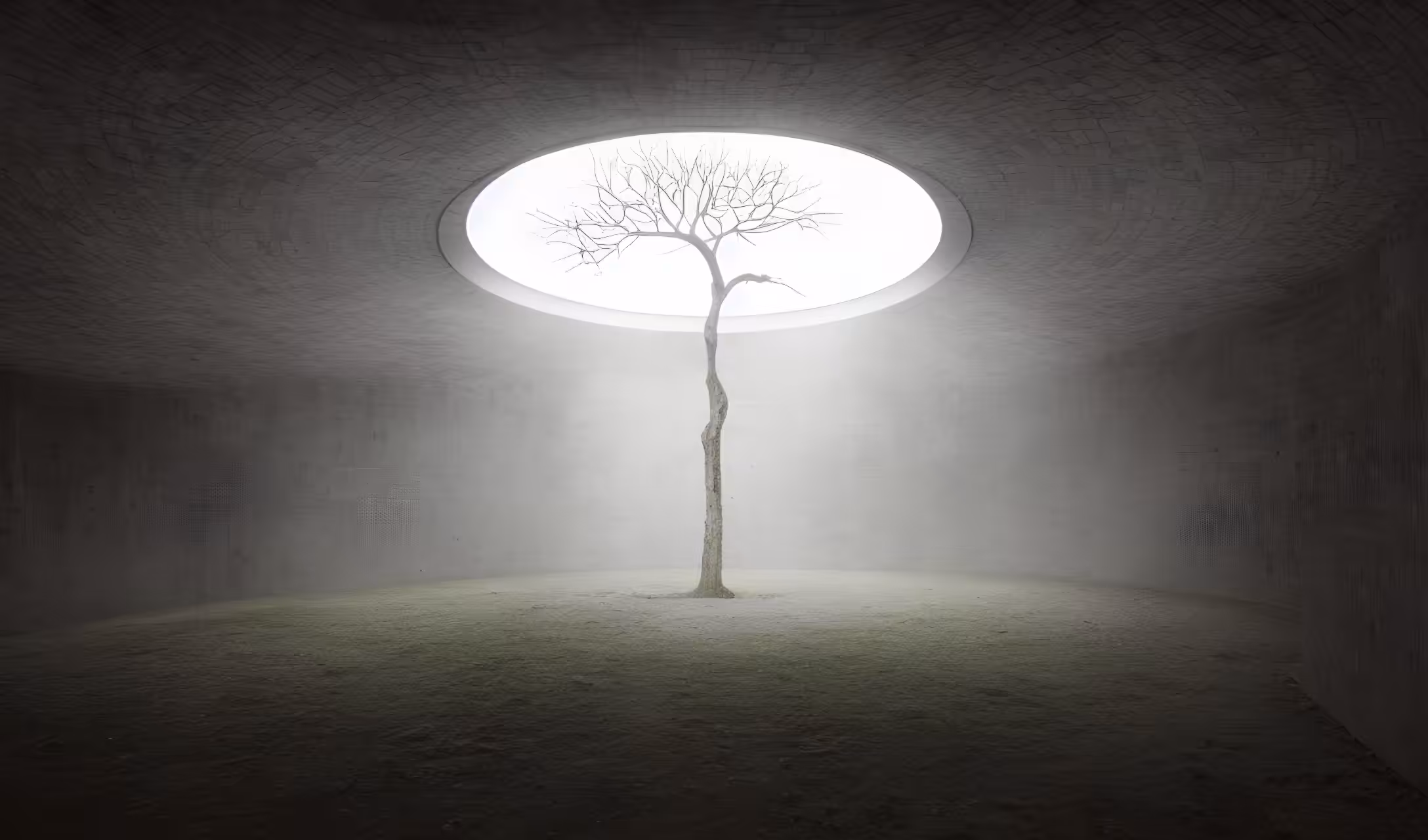 Latent Voyages: Solitude