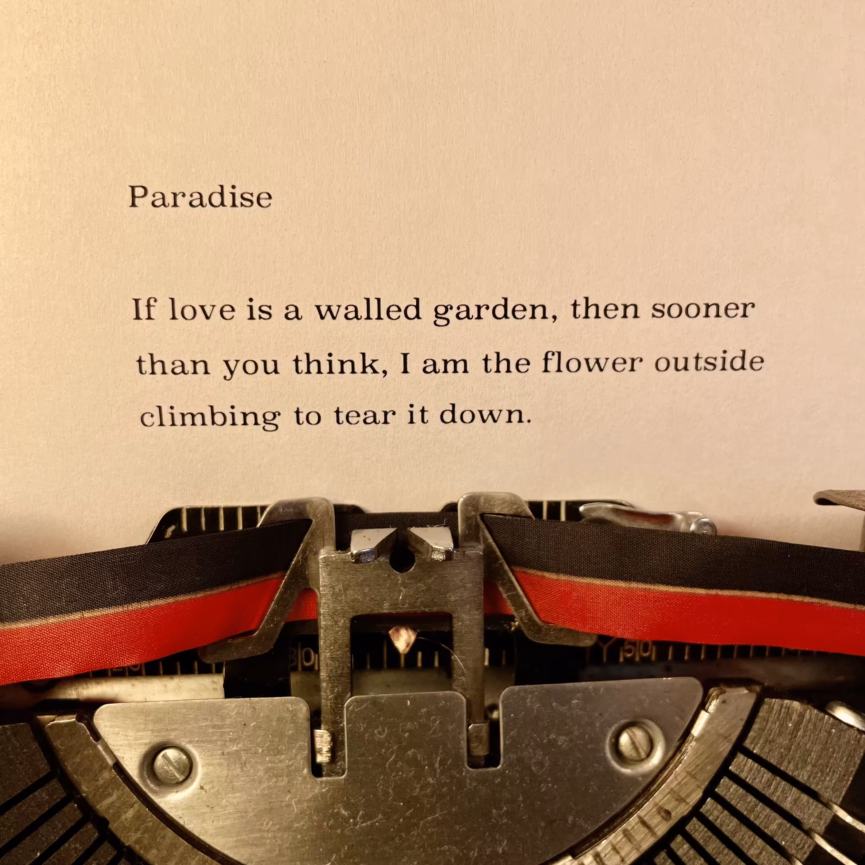 Paradise