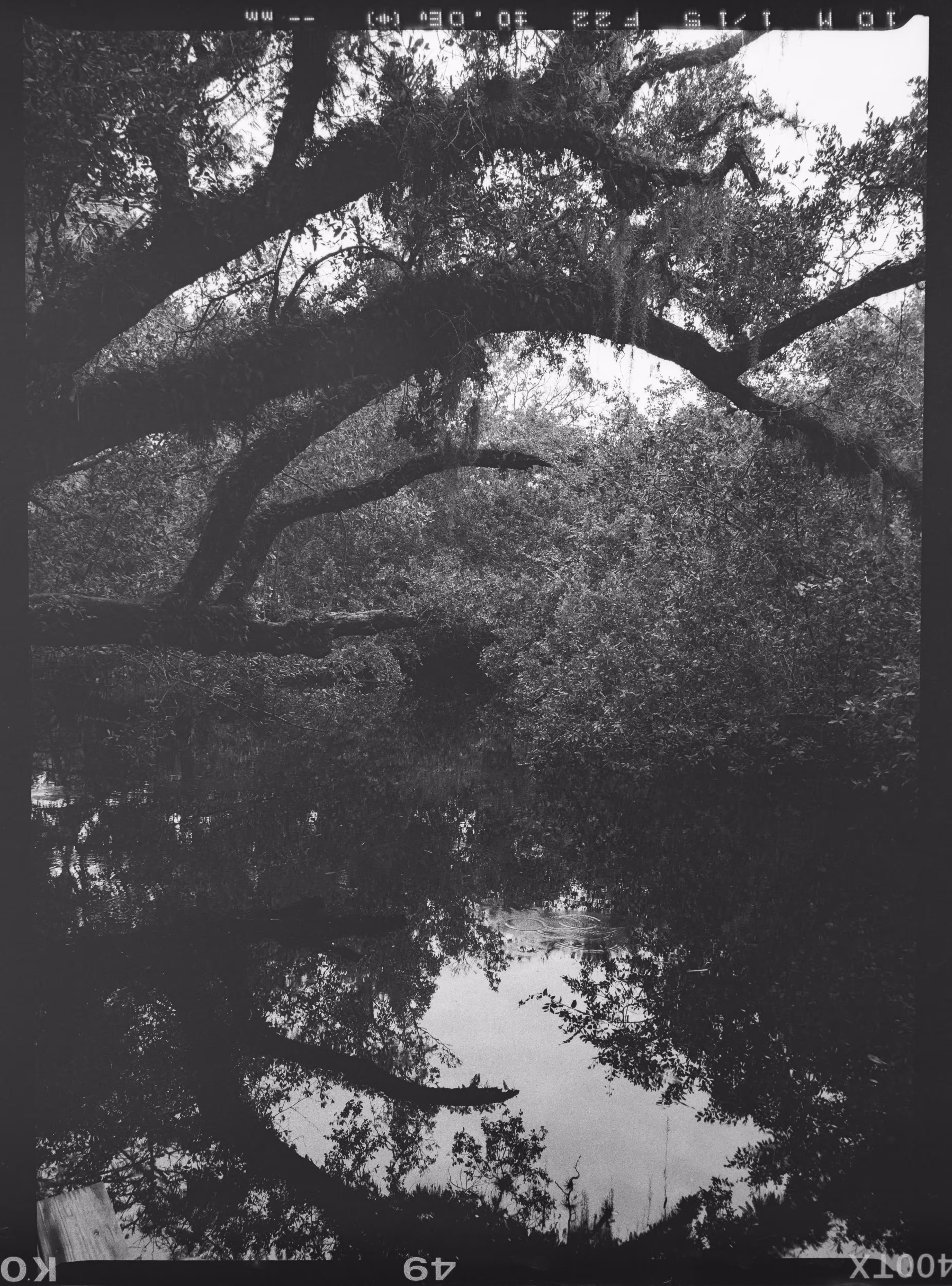 Ripples