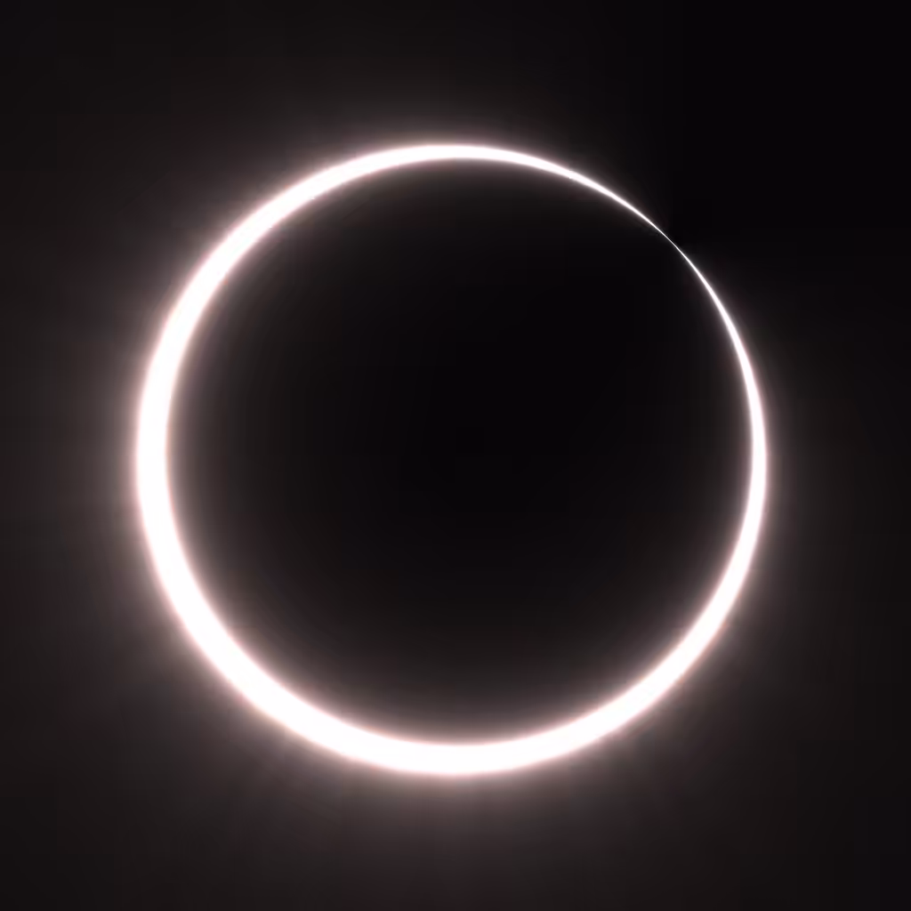 Totality #141
