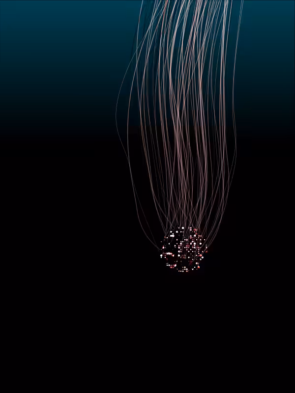 Jellyfish #32