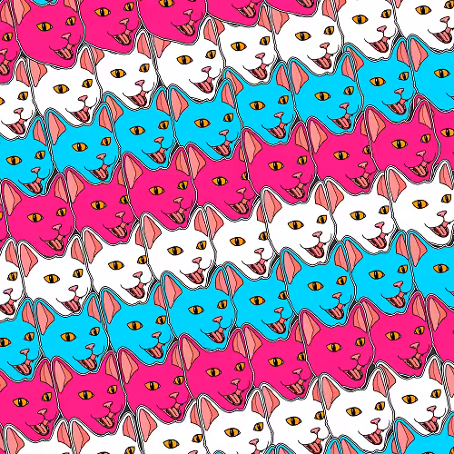 MeowsterS #9 March
