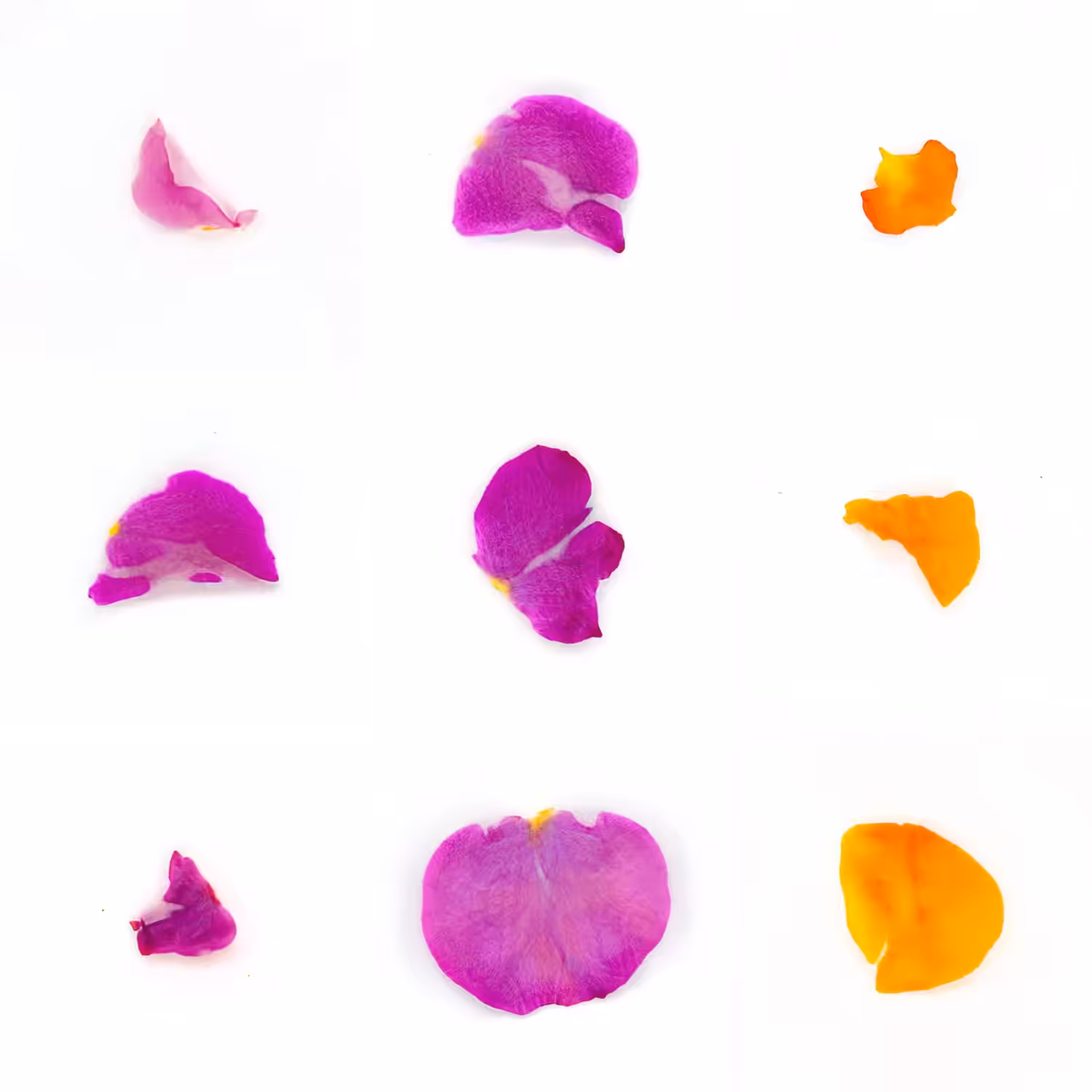 Infinite Petals 3x3#1426