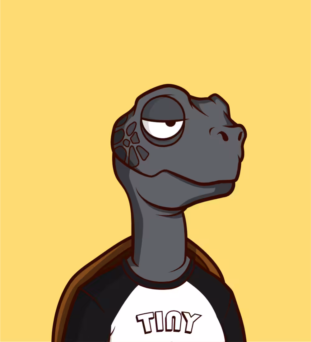 Tiny Turtle 207