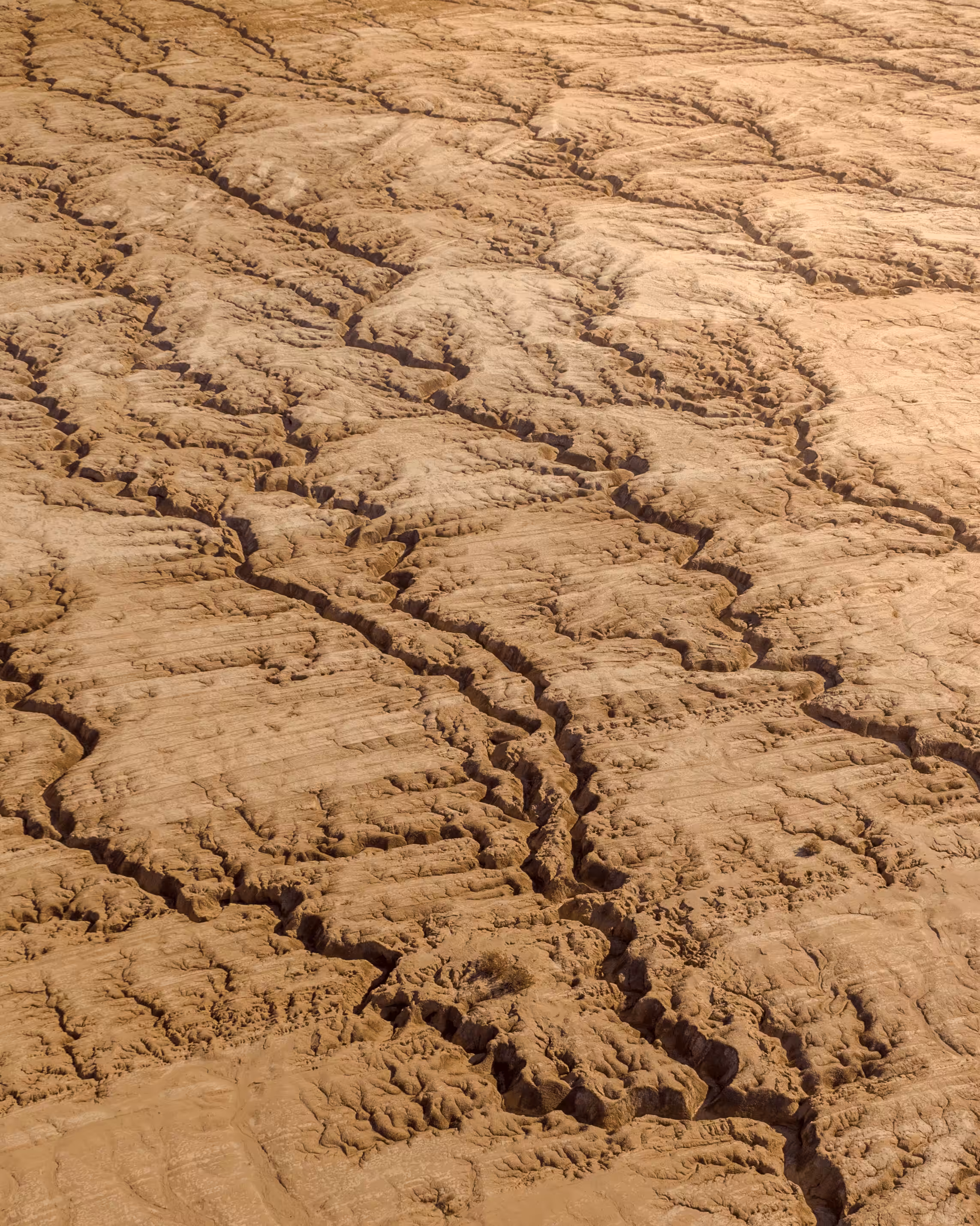 Earthly Veins