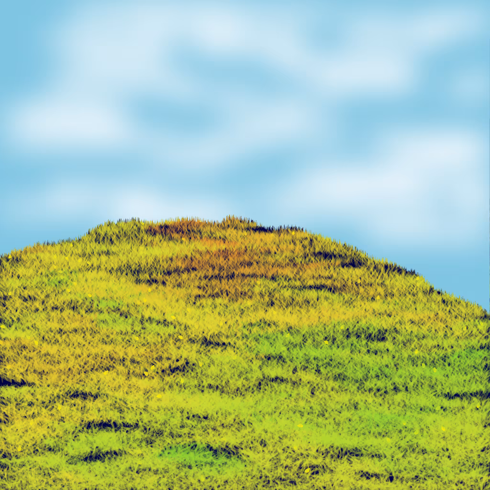 Grassy Knoll #3