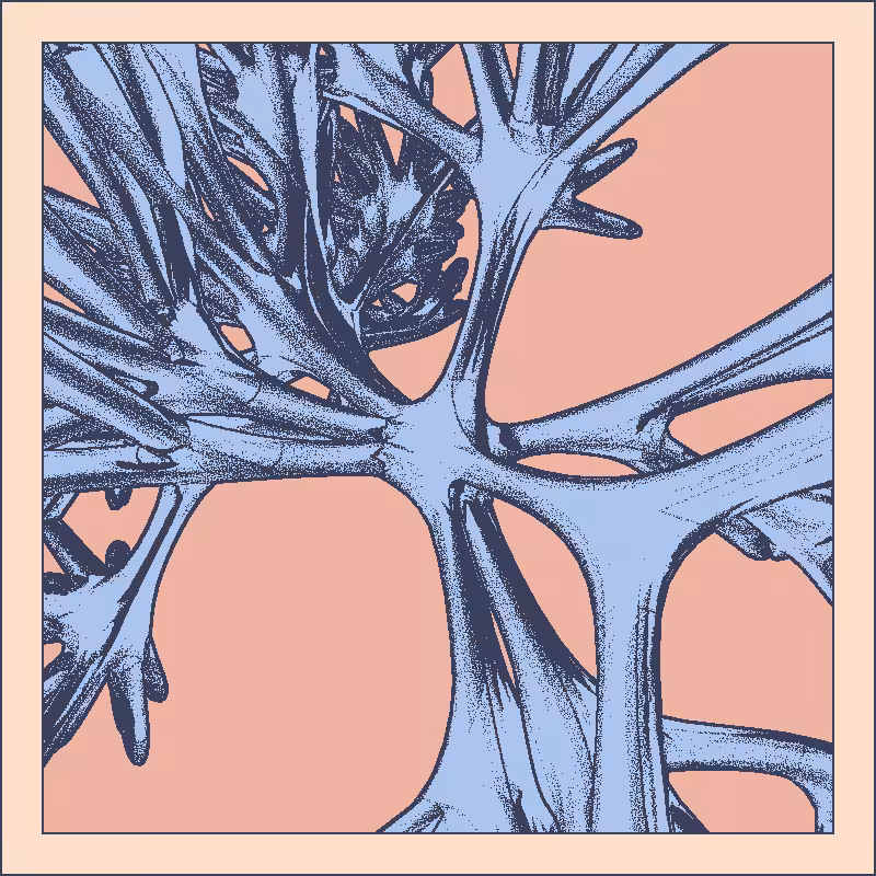 Bones that support nothing #25
