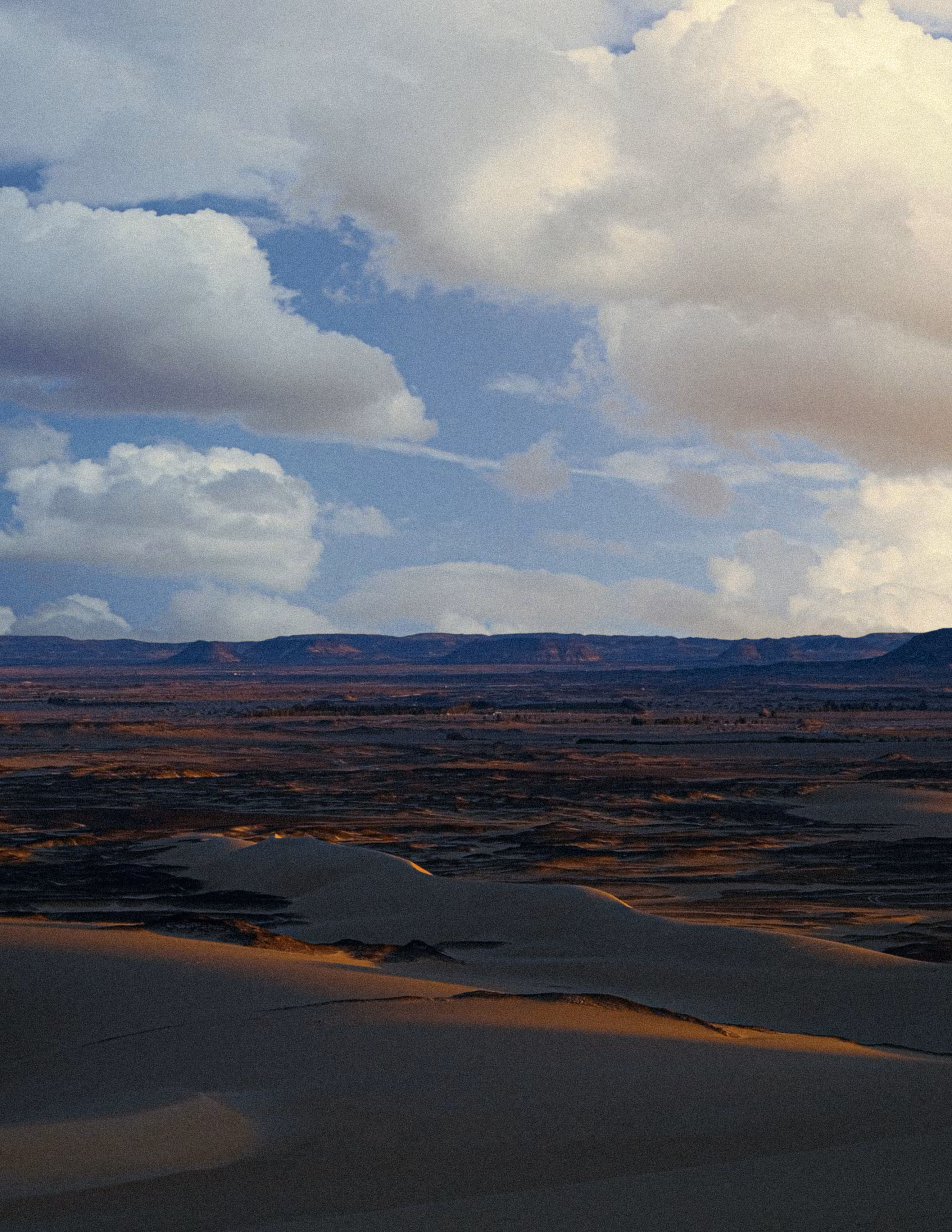Desolate Glory