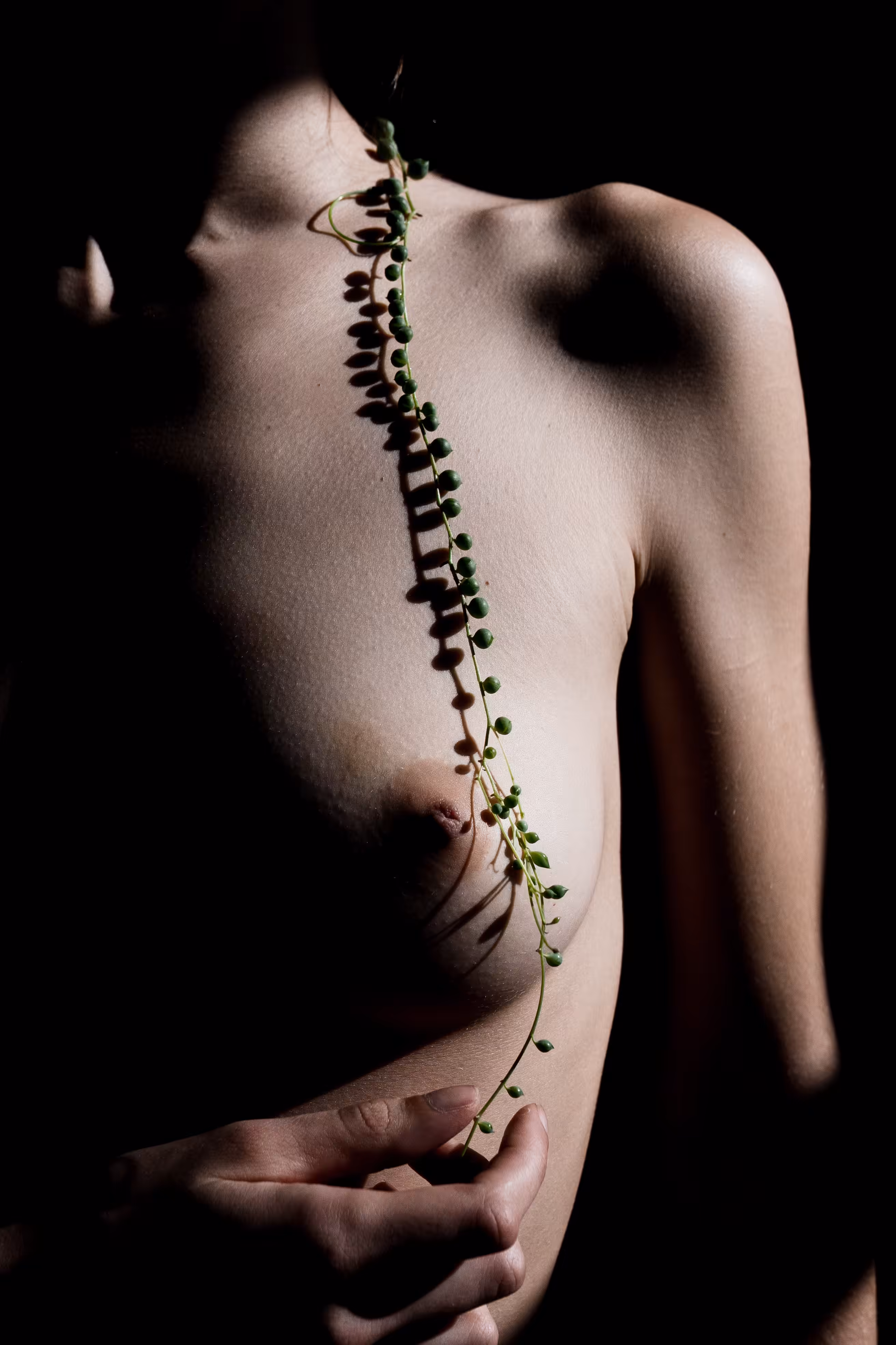 Nature's Pearls