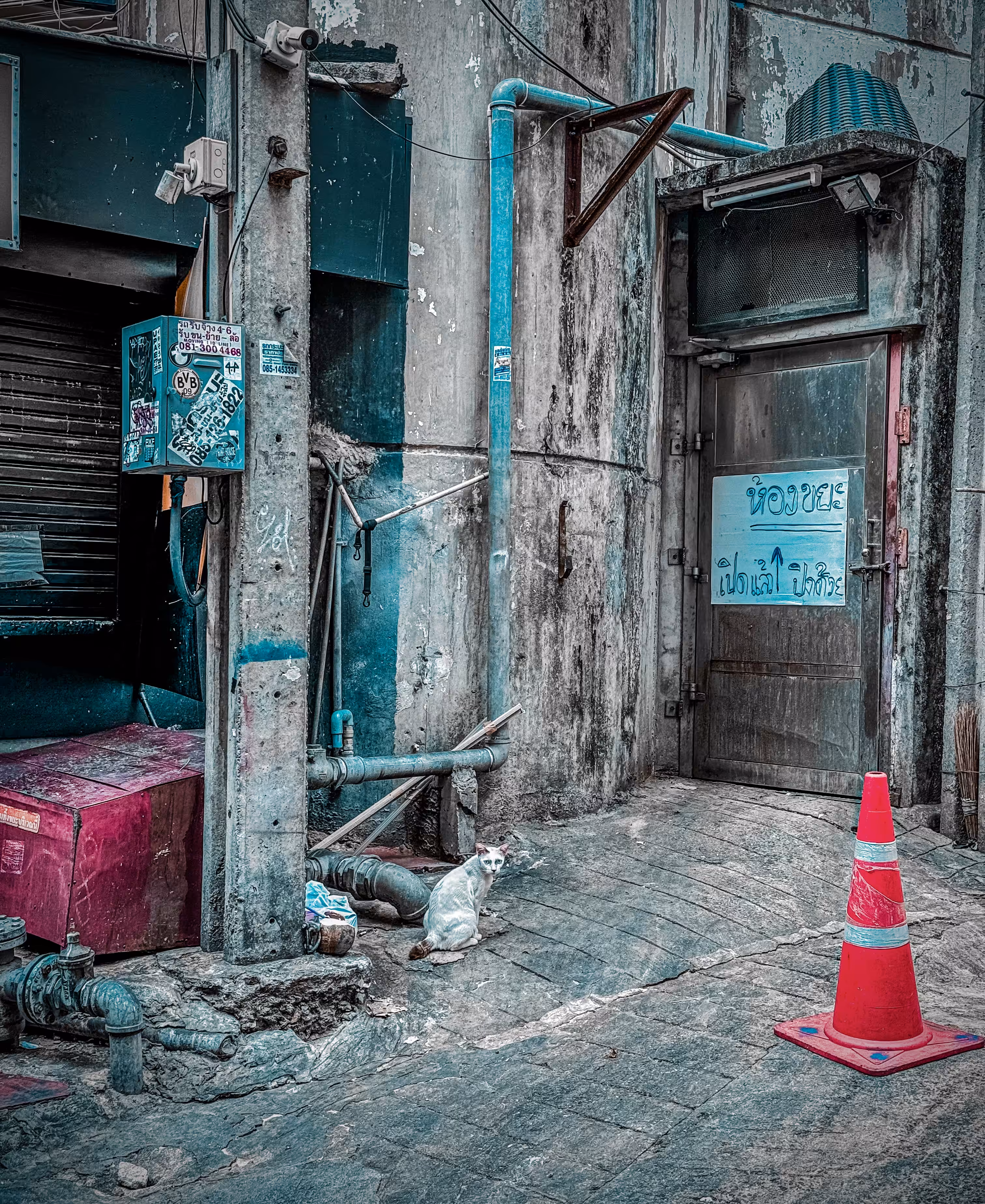 Streets of Bangkok - Blue Kindness