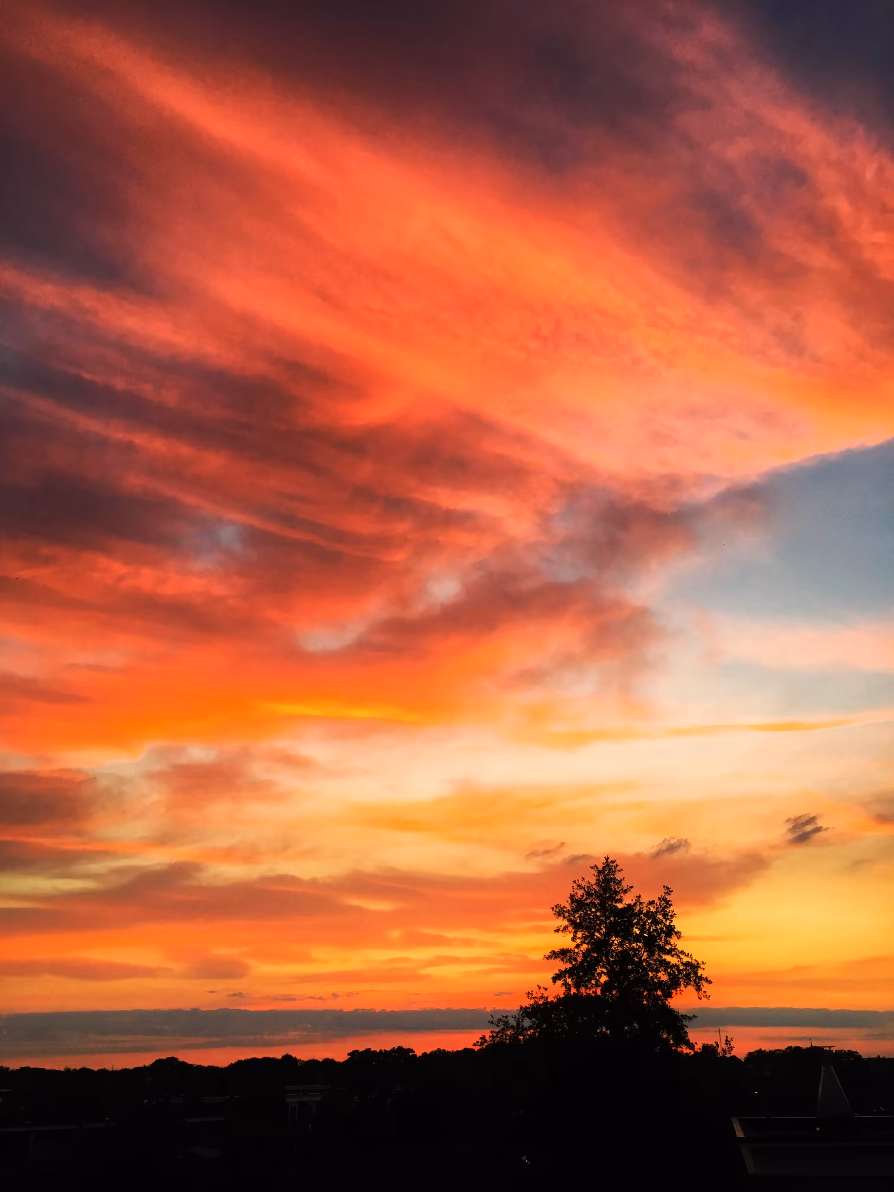 SUNSET #2