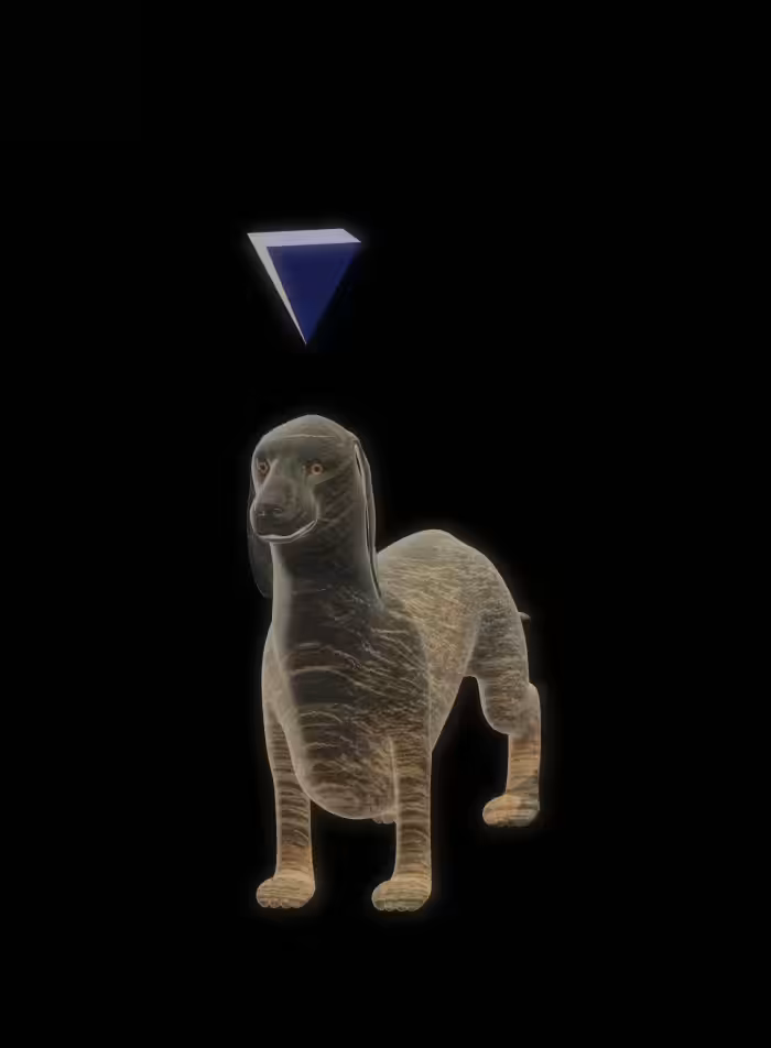🄽🄵🅃 🄶🅄🅈