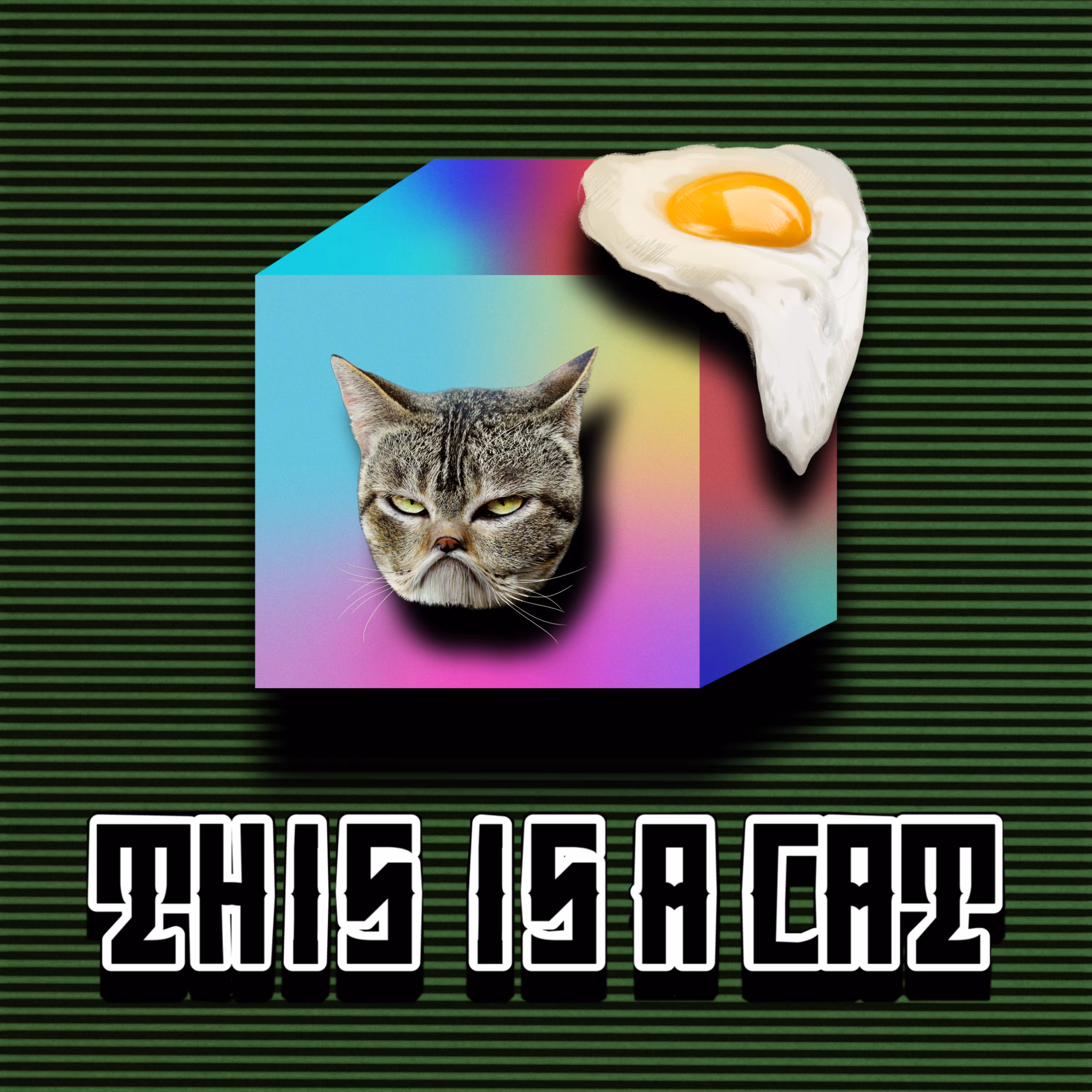 This is a CAT
